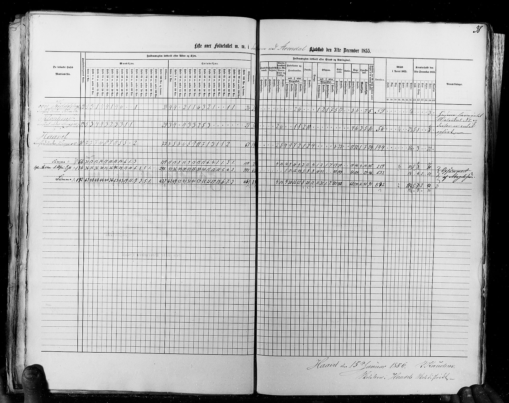 RA, Census 1855, vol. 8: Risør-Vadsø, 1855, p. 38