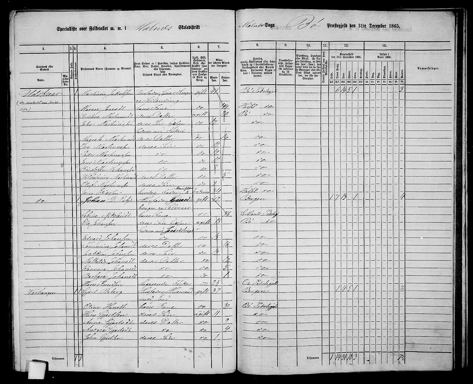 RA, 1865 census for Bø, 1865, p. 66