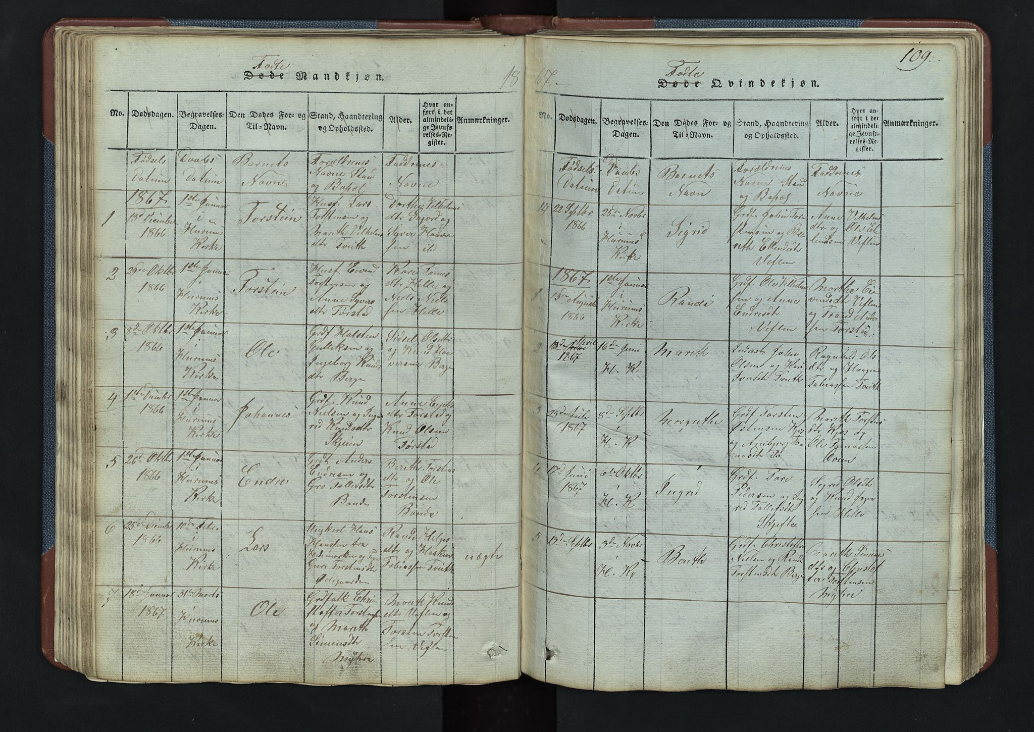 Vang prestekontor, Valdres, SAH/PREST-140/H/Hb/L0003: Parish register (copy) no. 3, 1814-1892, p. 109