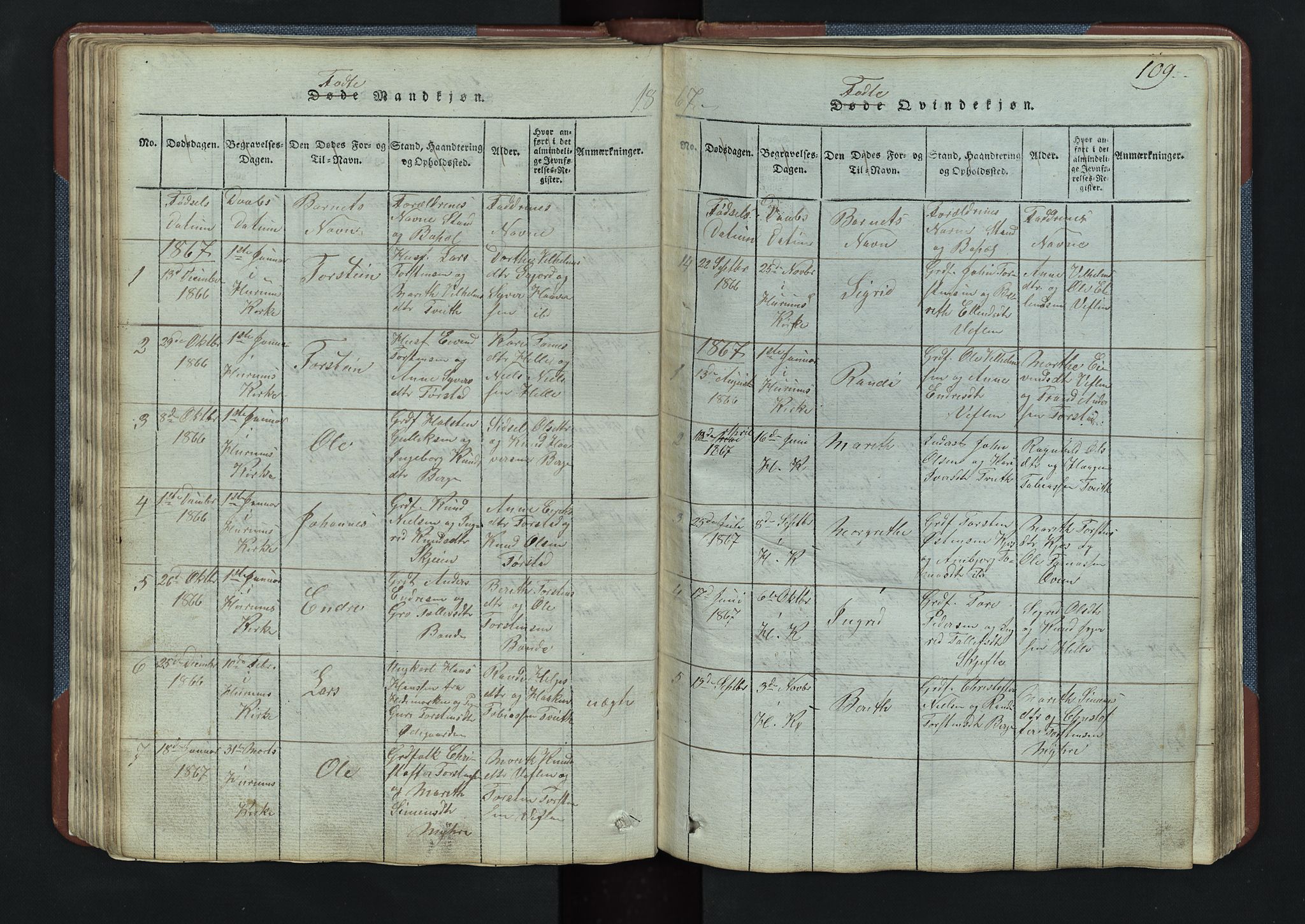 Vang prestekontor, Valdres, AV/SAH-PREST-140/H/Hb/L0003: Parish register (copy) no. 3, 1814-1892, p. 109