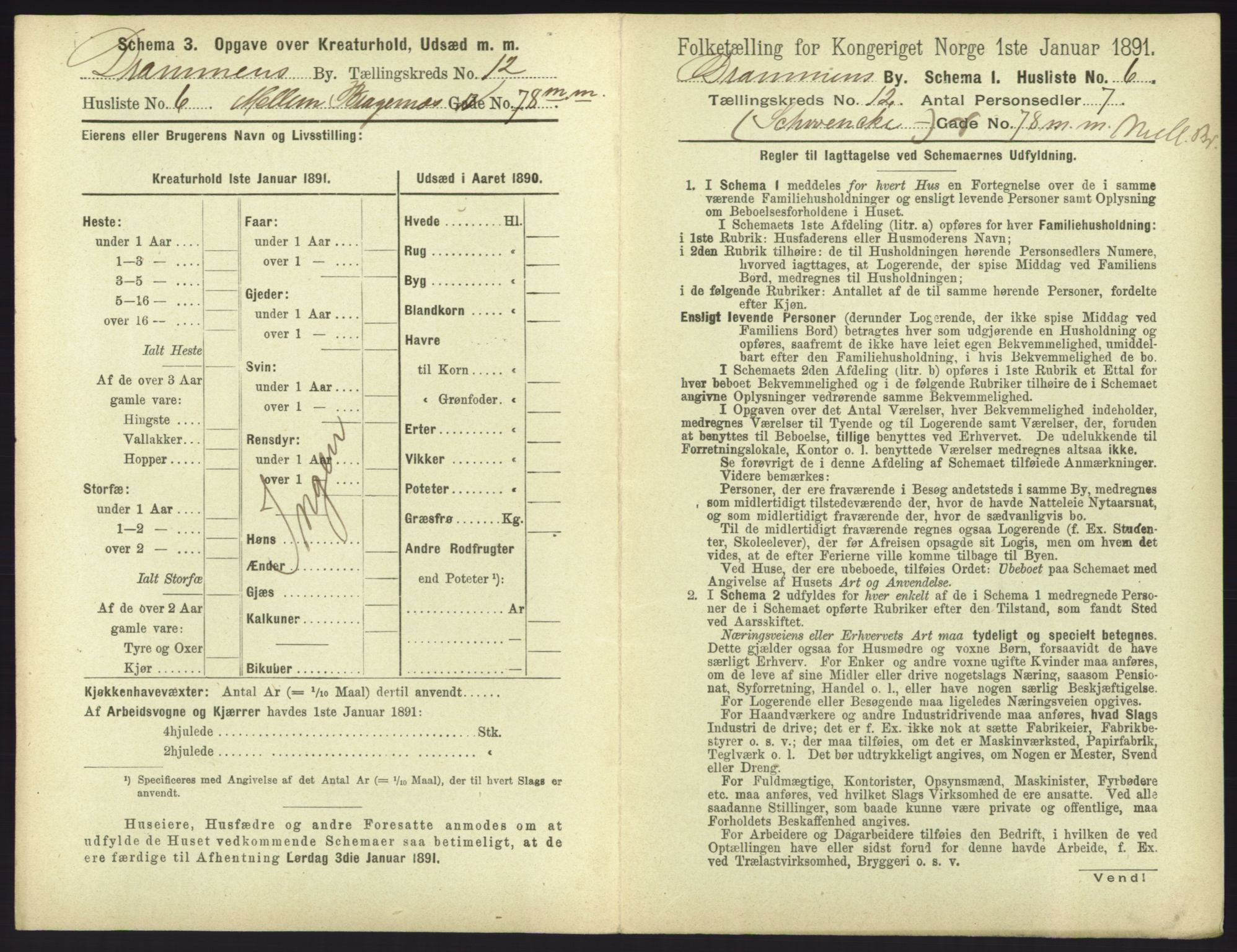 RA, 1891 census for 0602 Drammen, 1891, p. 1001