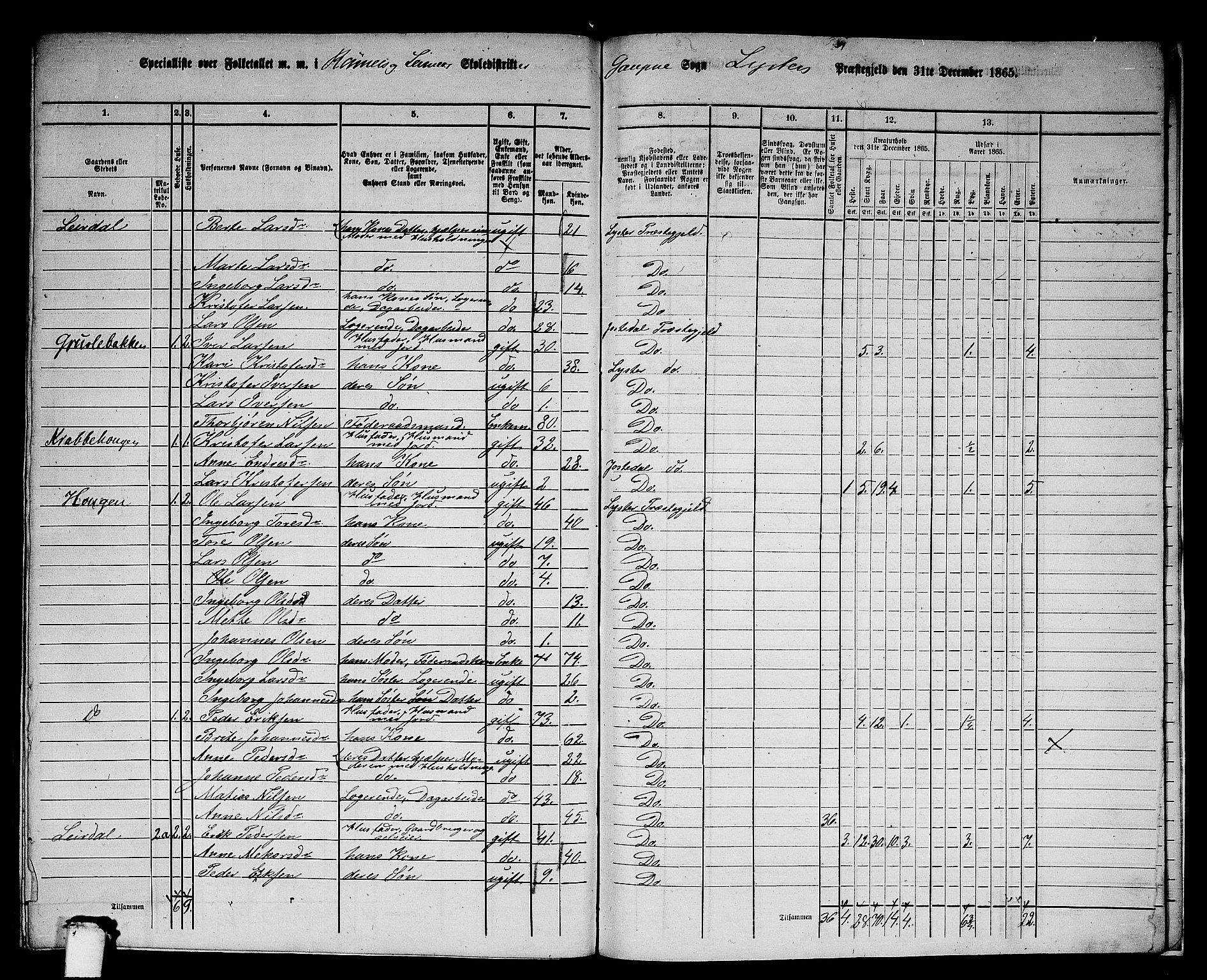 RA, 1865 census for Luster, 1865, p. 161