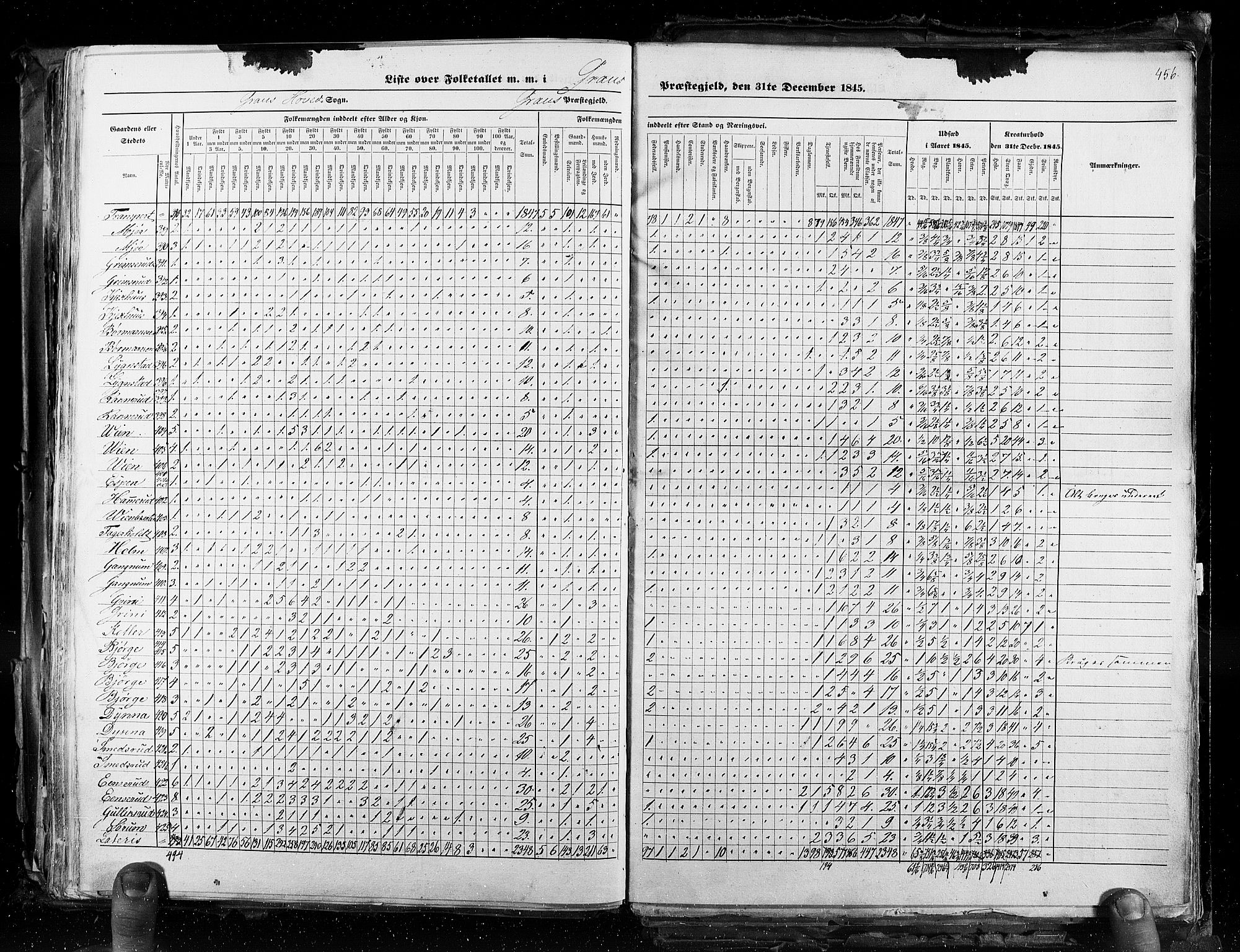 RA, Census 1845, vol. 3: Hedemarken amt og Kristians amt, 1845, p. 456