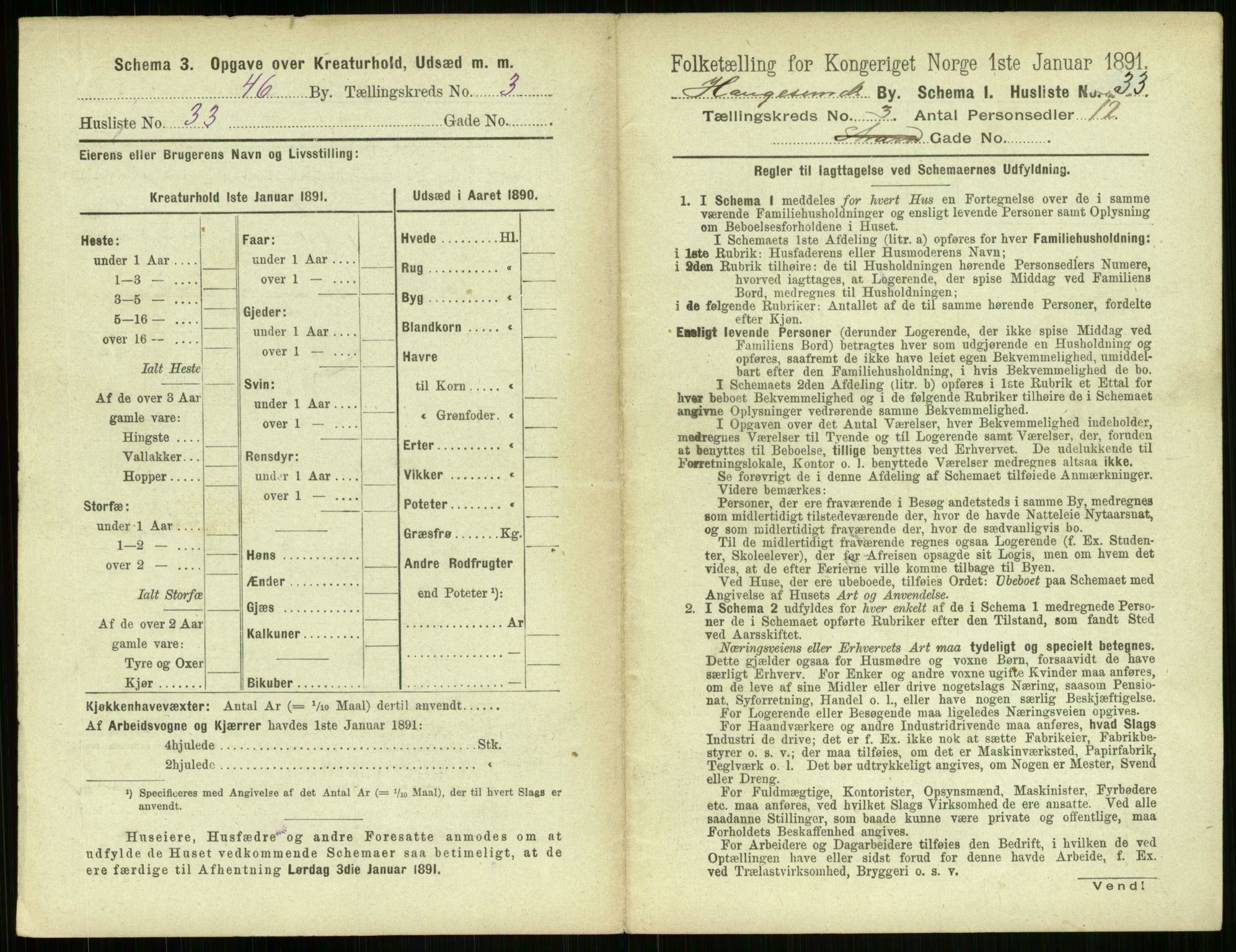 RA, 1891 census for 1106 Haugesund, 1891, p. 213