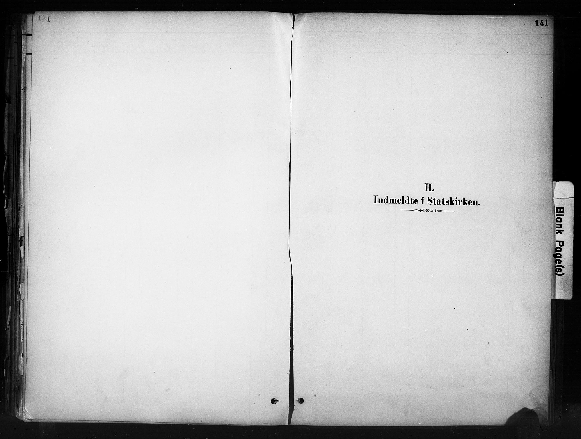 Nord-Aurdal prestekontor, SAH/PREST-132/H/Ha/Haa/L0013: Parish register (official) no. 13, 1883-1895, p. 141