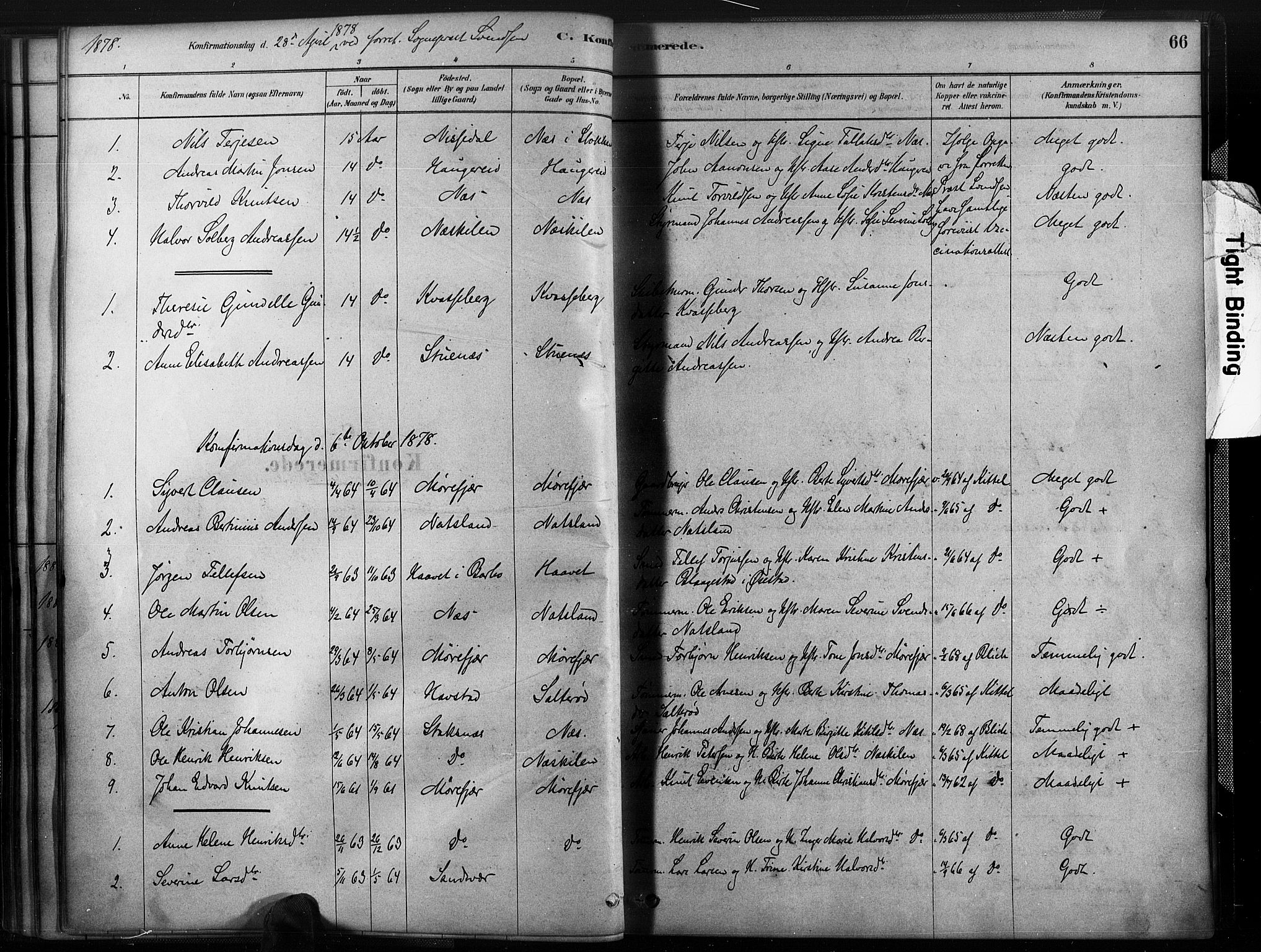 Austre Moland sokneprestkontor, SAK/1111-0001/F/Fa/Fab/L0001: Parish register (official) no. A 1, 1878-1898, p. 66