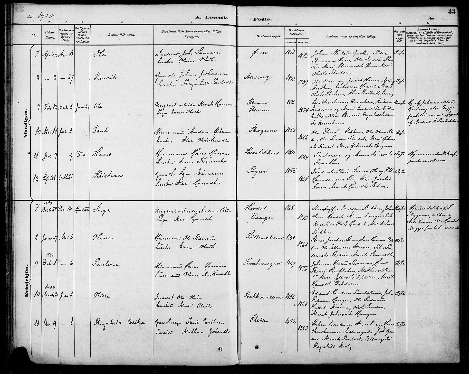 Sel prestekontor, AV/SAH-PREST-074/H/Ha/Hab/L0005: Parish register (copy) no. 5, 1894-1923, p. 33