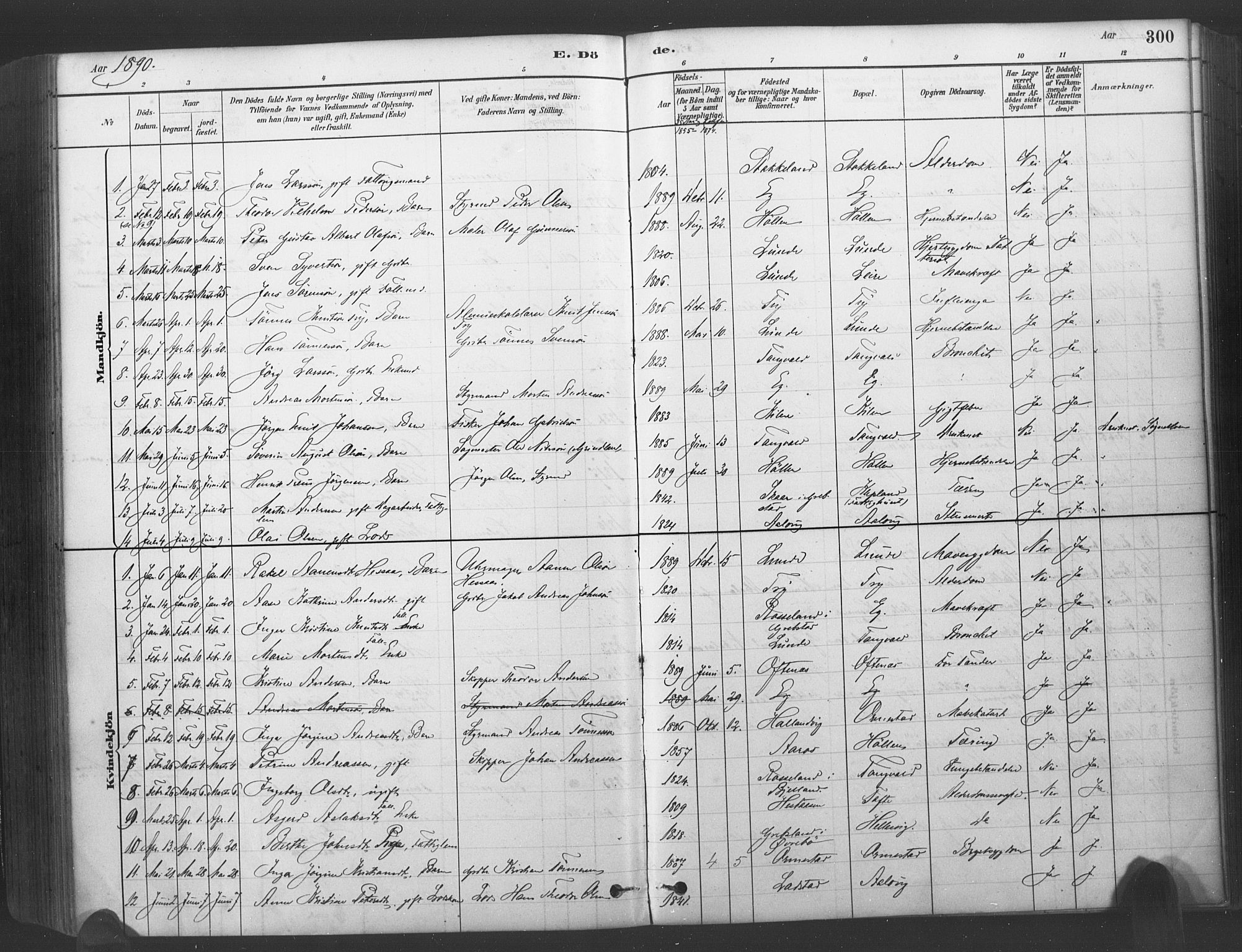 Søgne sokneprestkontor, SAK/1111-0037/F/Fa/Fab/L0012: Parish register (official) no. A 12, 1880-1891, p. 300