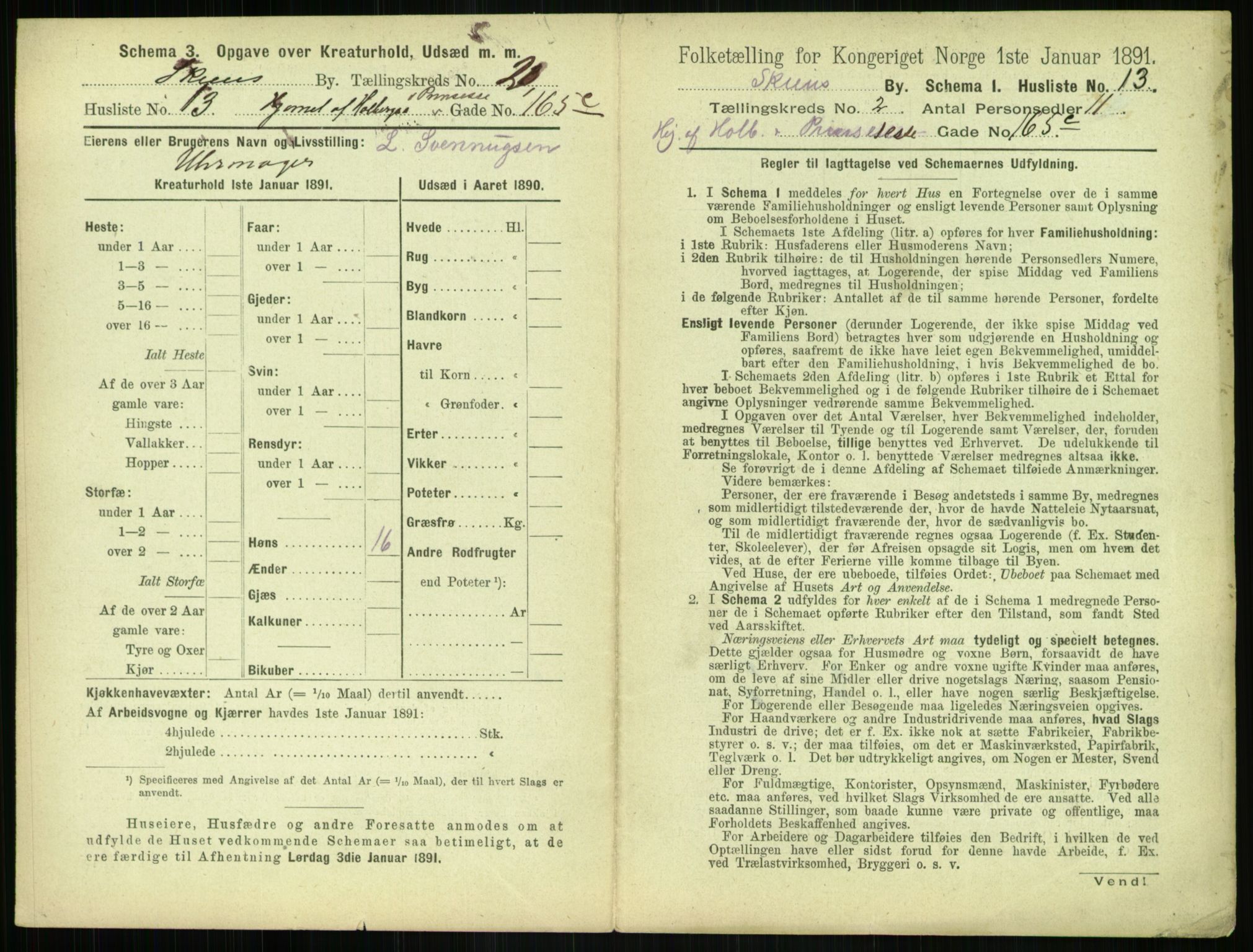 RA, 1891 census for 0806 Skien, 1891, p. 176