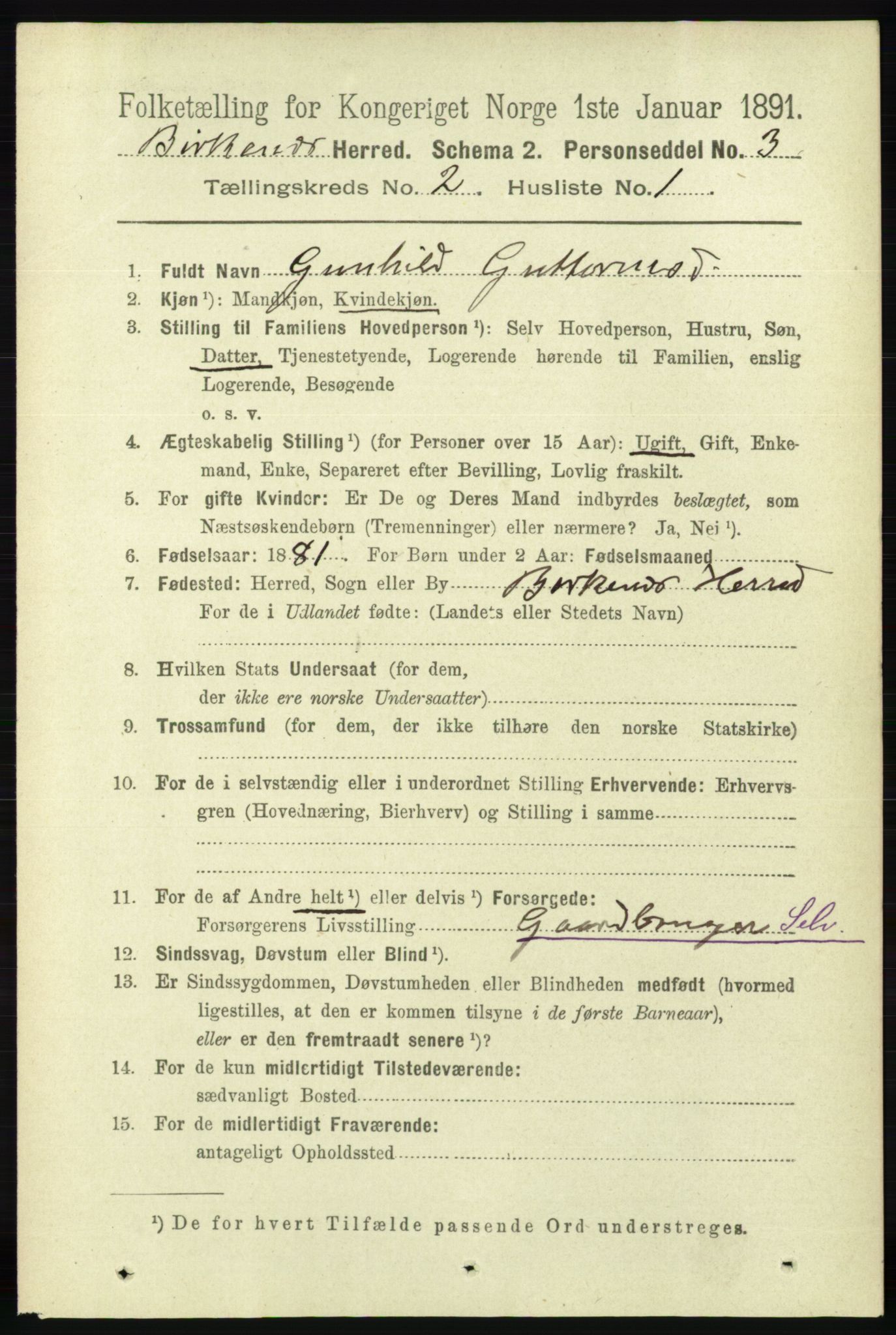 RA, 1891 Census for 0928 Birkenes, 1891, p. 502