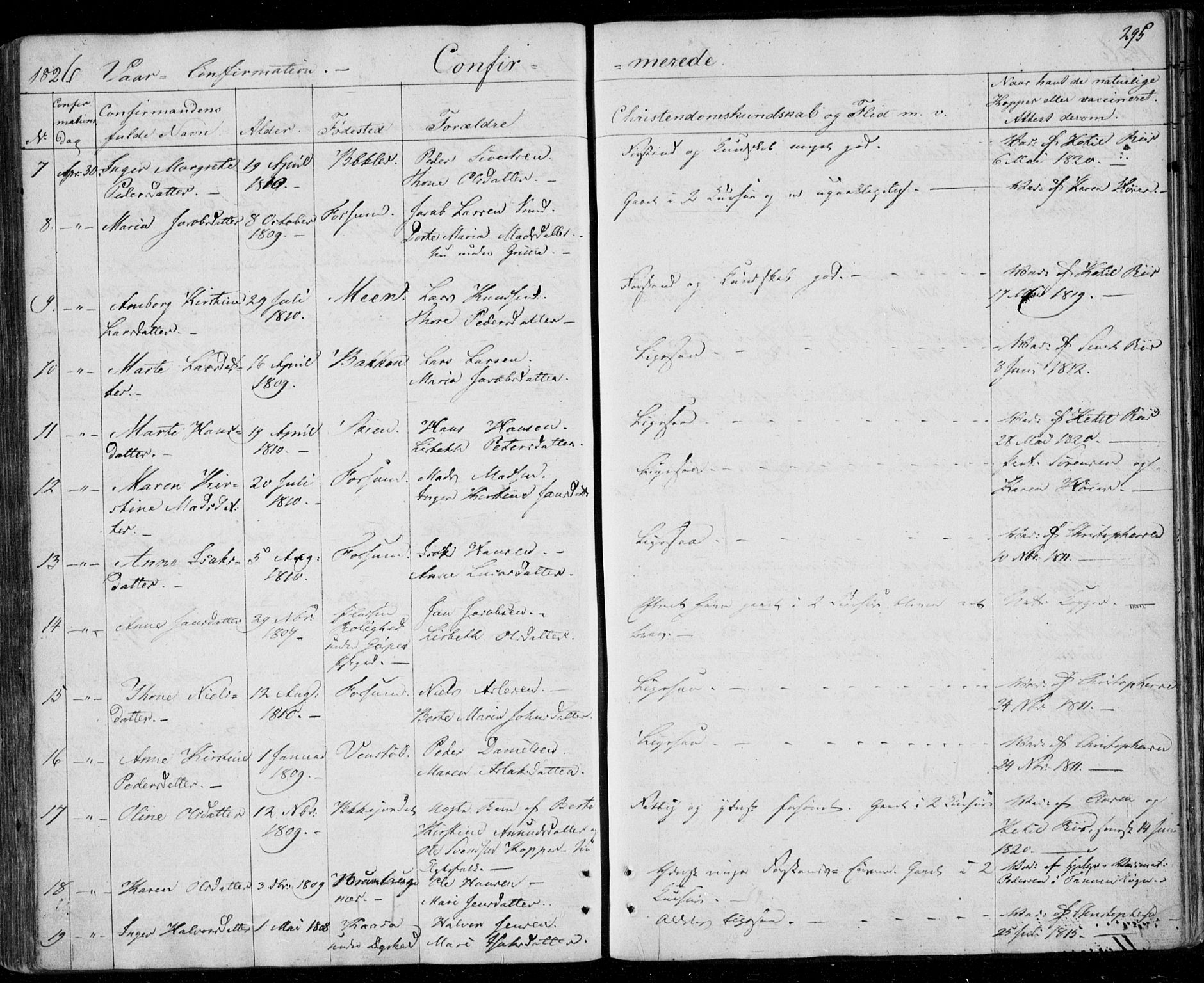 Gjerpen kirkebøker, AV/SAKO-A-265/F/Fa/L0005: Parish register (official) no. I 5, 1823-1829, p. 295