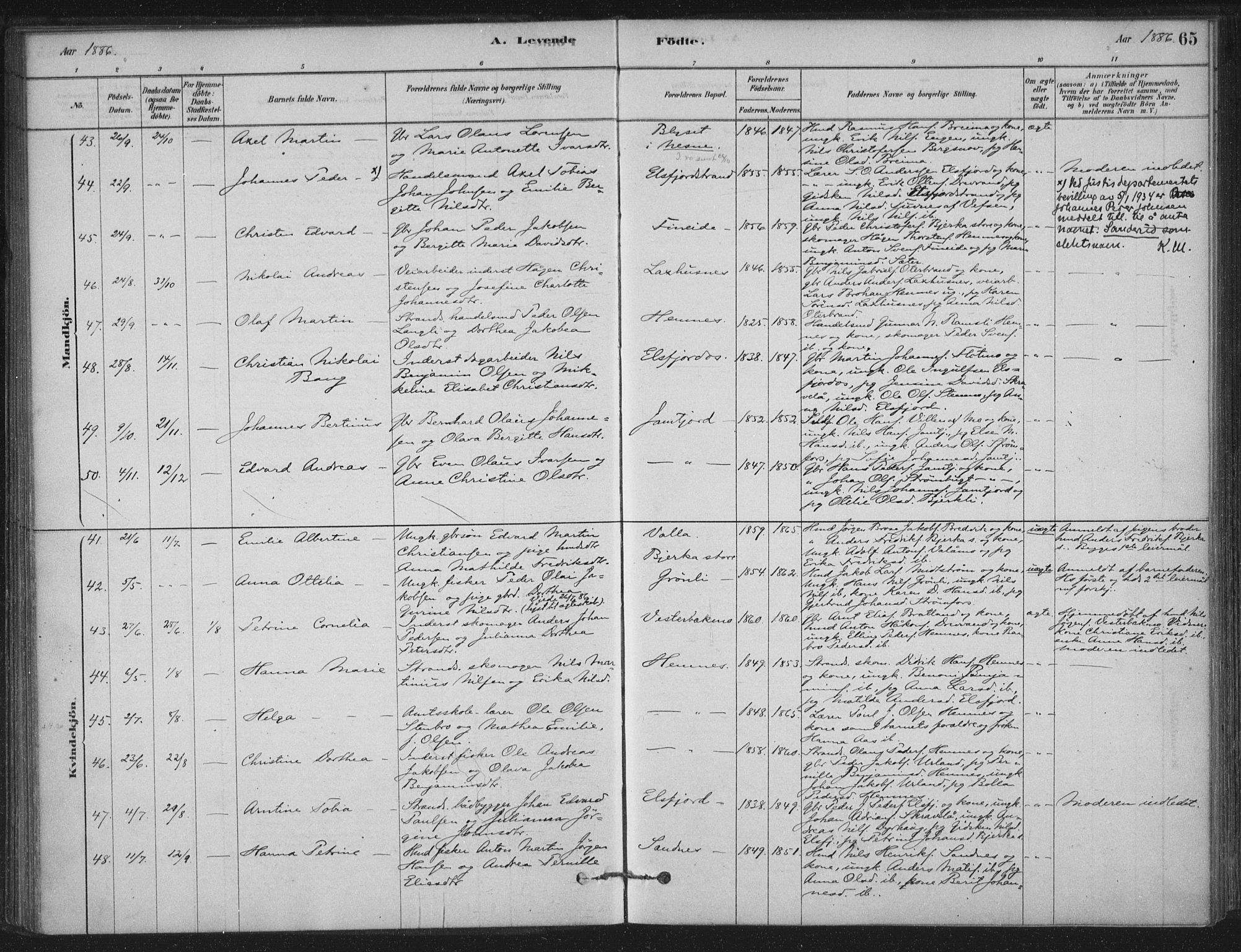 Ministerialprotokoller, klokkerbøker og fødselsregistre - Nordland, AV/SAT-A-1459/825/L0361: Parish register (official) no. 825A15, 1878-1893, p. 65