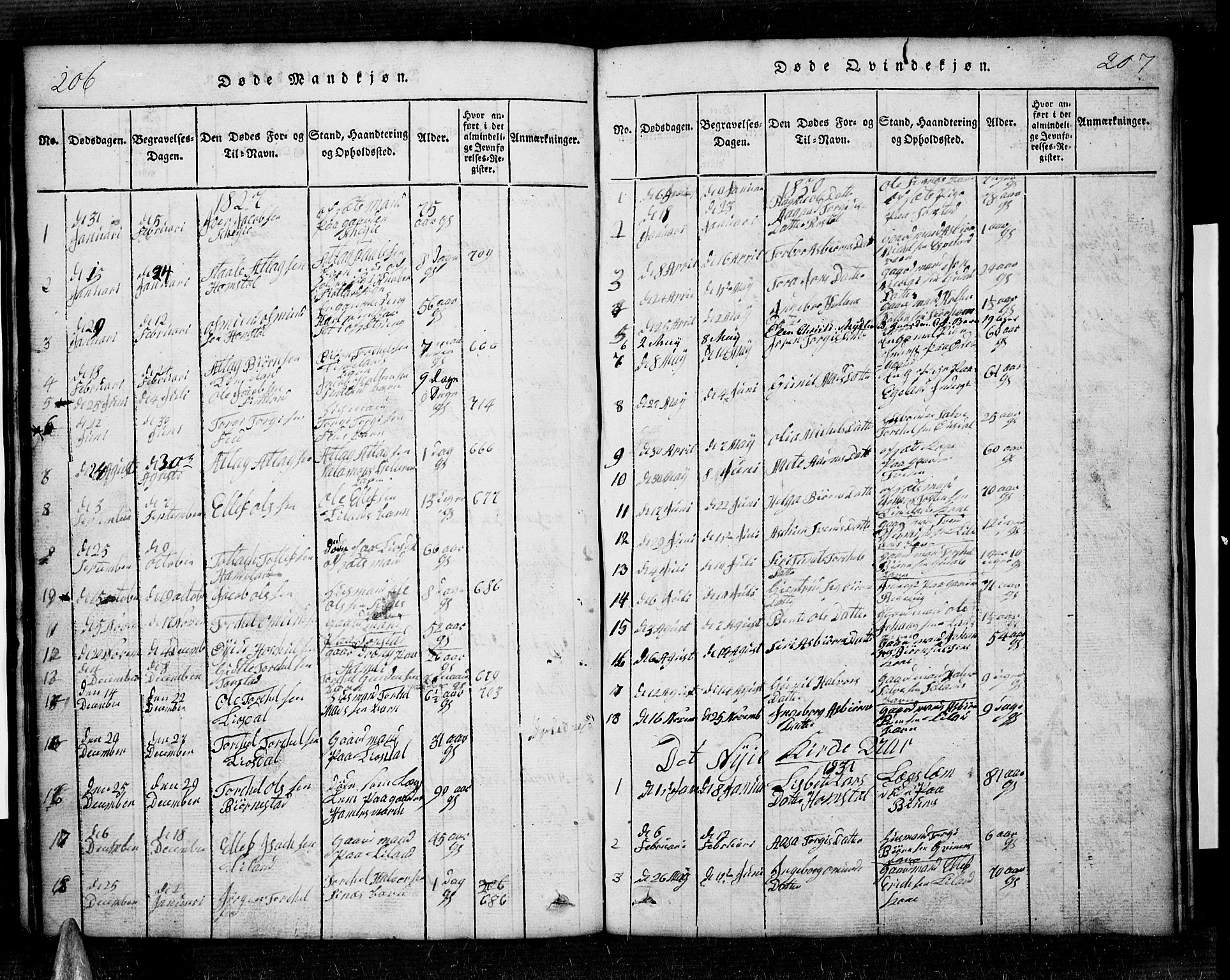 Sirdal sokneprestkontor, SAK/1111-0036/F/Fb/Fbb/L0001: Parish register (copy) no. B 1, 1815-1834, p. 206-207
