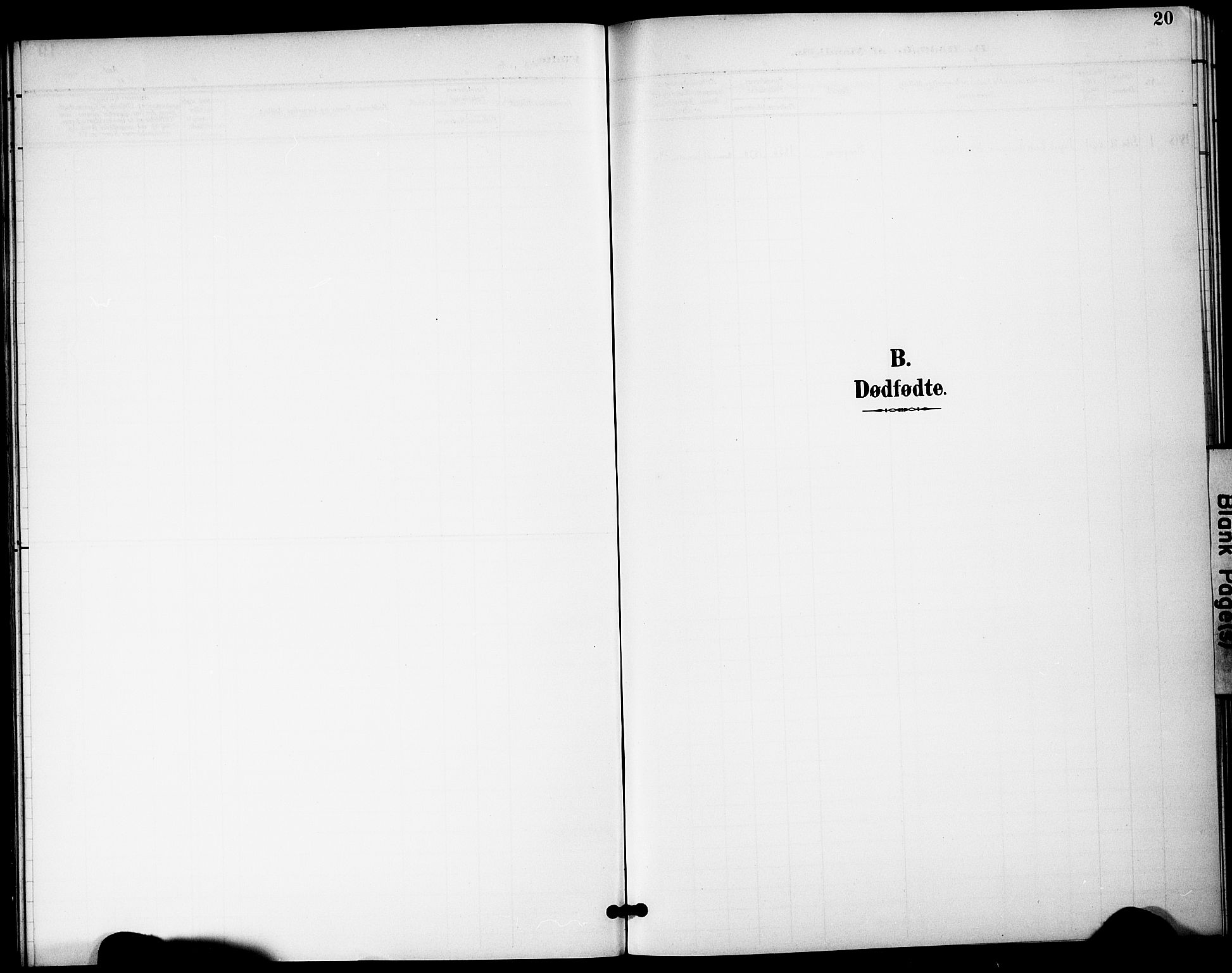 Gjerstad sokneprestkontor, AV/SAK-1111-0014/F/Fa/Fac/L0001: Parish register draft no. A VI 1, 1894-1898, p. 20