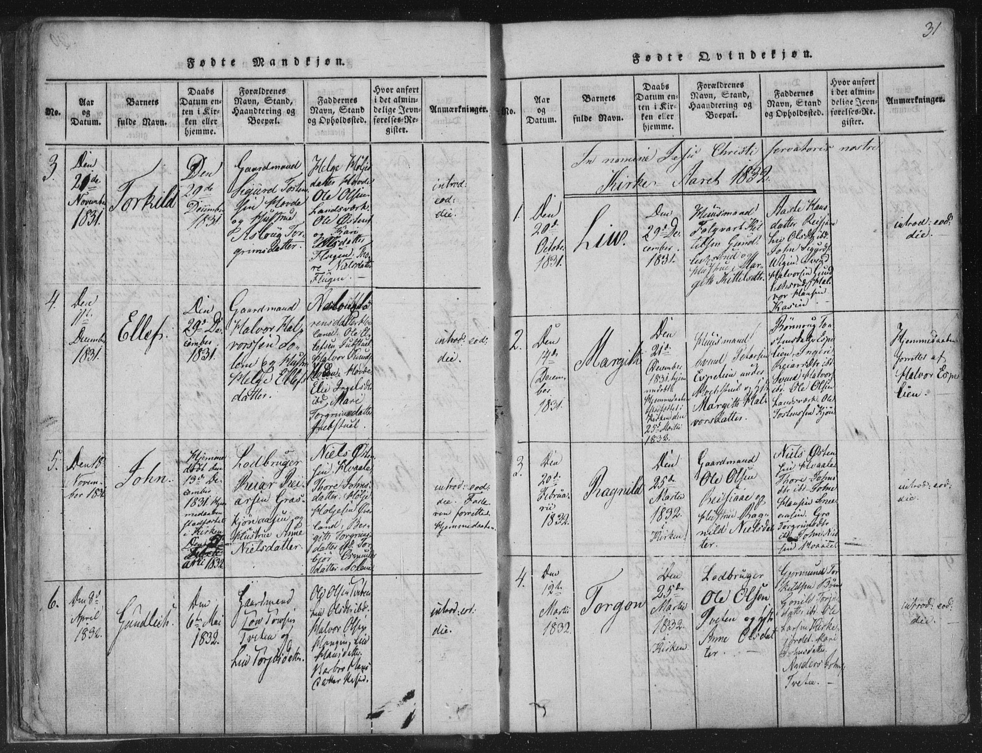 Hjartdal kirkebøker, SAKO/A-270/F/Fc/L0001: Parish register (official) no. III 1, 1815-1843, p. 31