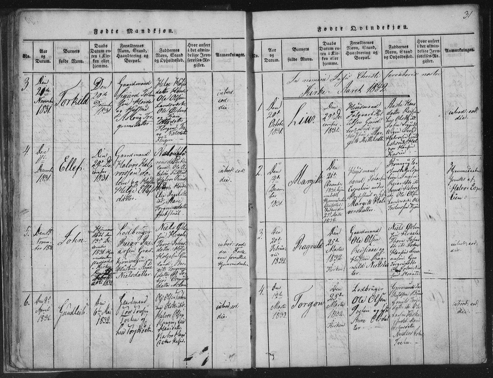 Hjartdal kirkebøker, AV/SAKO-A-270/F/Fc/L0001: Parish register (official) no. III 1, 1815-1843, p. 31