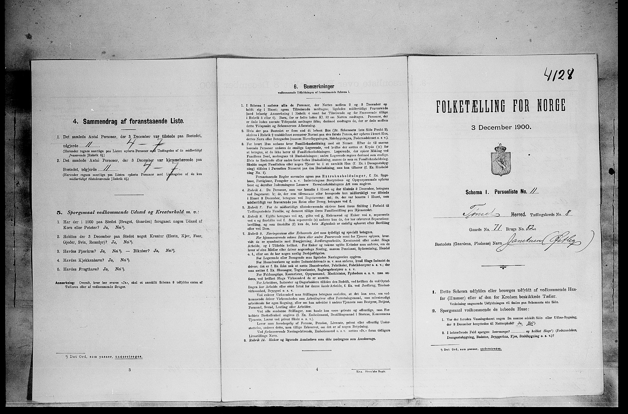 SAH, 1900 census for Tynset, 1900, p. 729