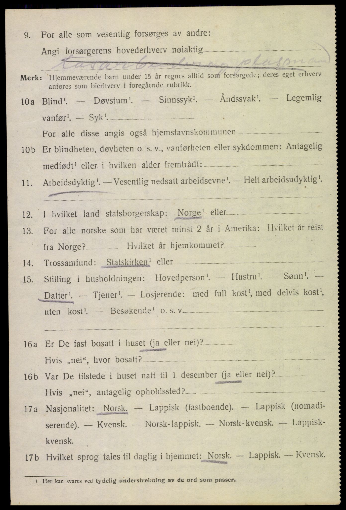 SAT, 1920 census for Borge, 1920, p. 9412