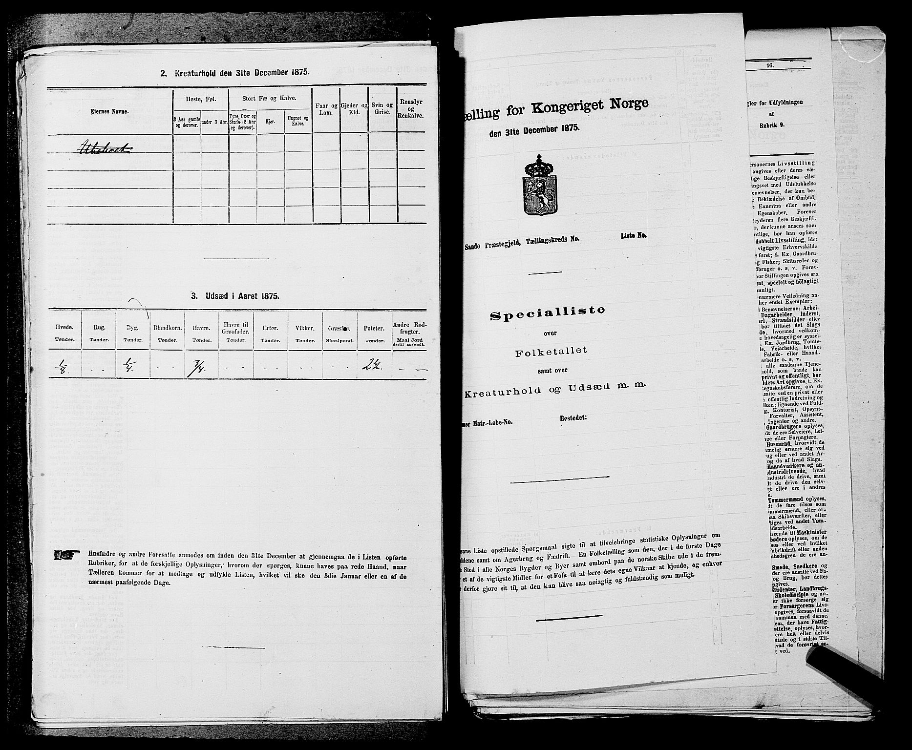 SAKO, 1875 census for 0821P Bø, 1875, p. 596