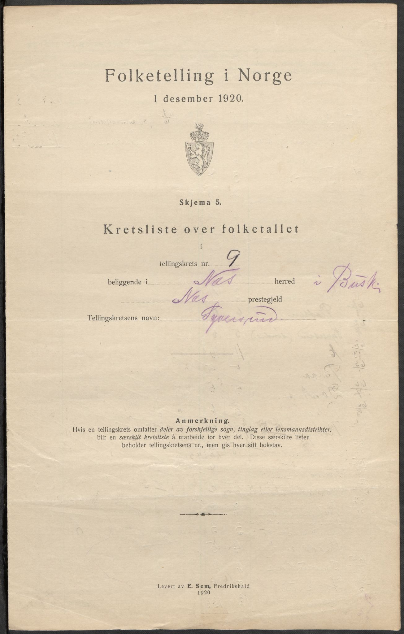 SAKO, 1920 census for Nes (Buskerud), 1920, p. 31