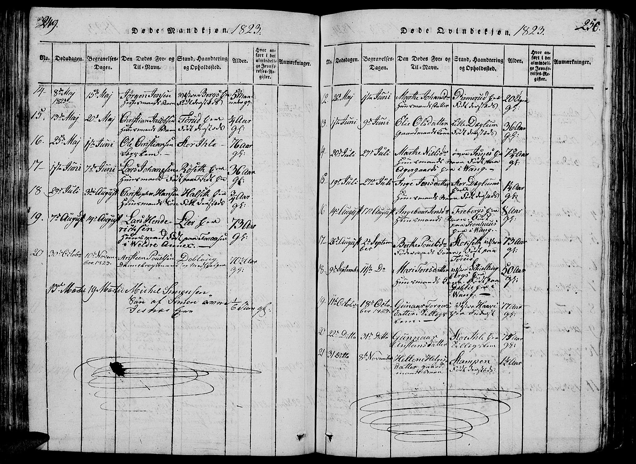 Vang prestekontor, Hedmark, AV/SAH-PREST-008/H/Ha/Hab/L0005: Parish register (copy) no. 5, 1815-1836, p. 249-250