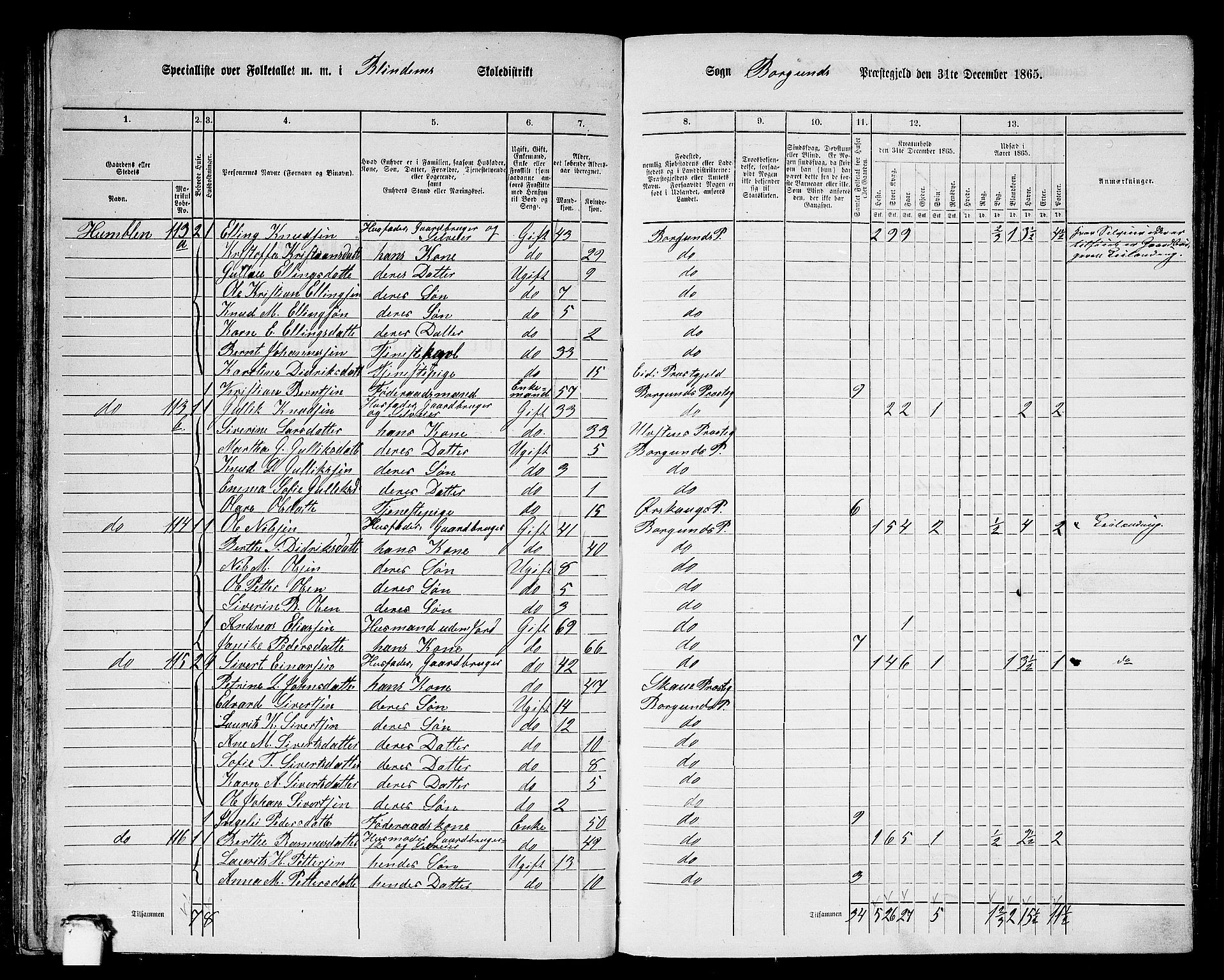 RA, 1865 census for Borgund, 1865, p. 39