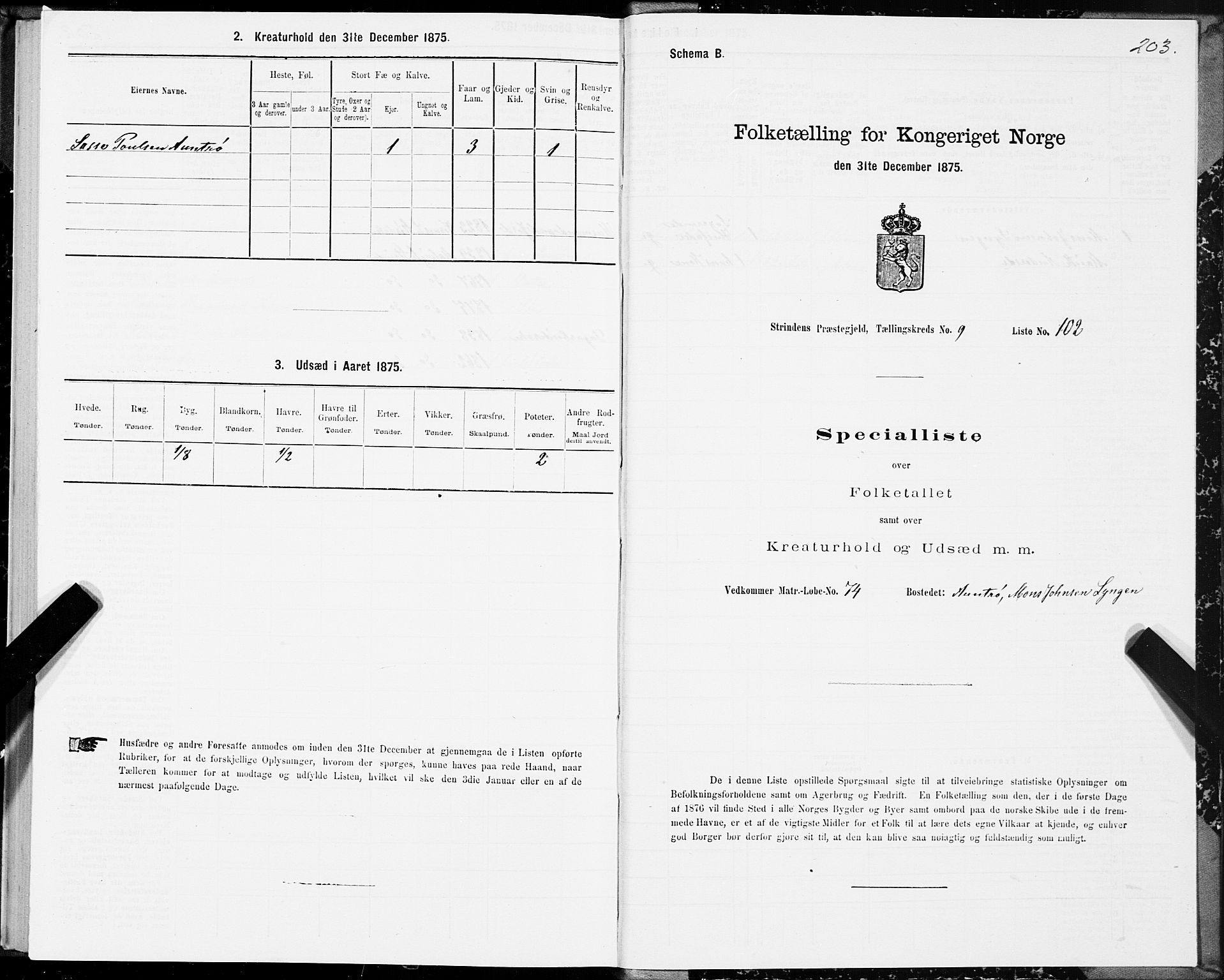 SAT, 1875 census for 1660P Strinda, 1875, p. 5203