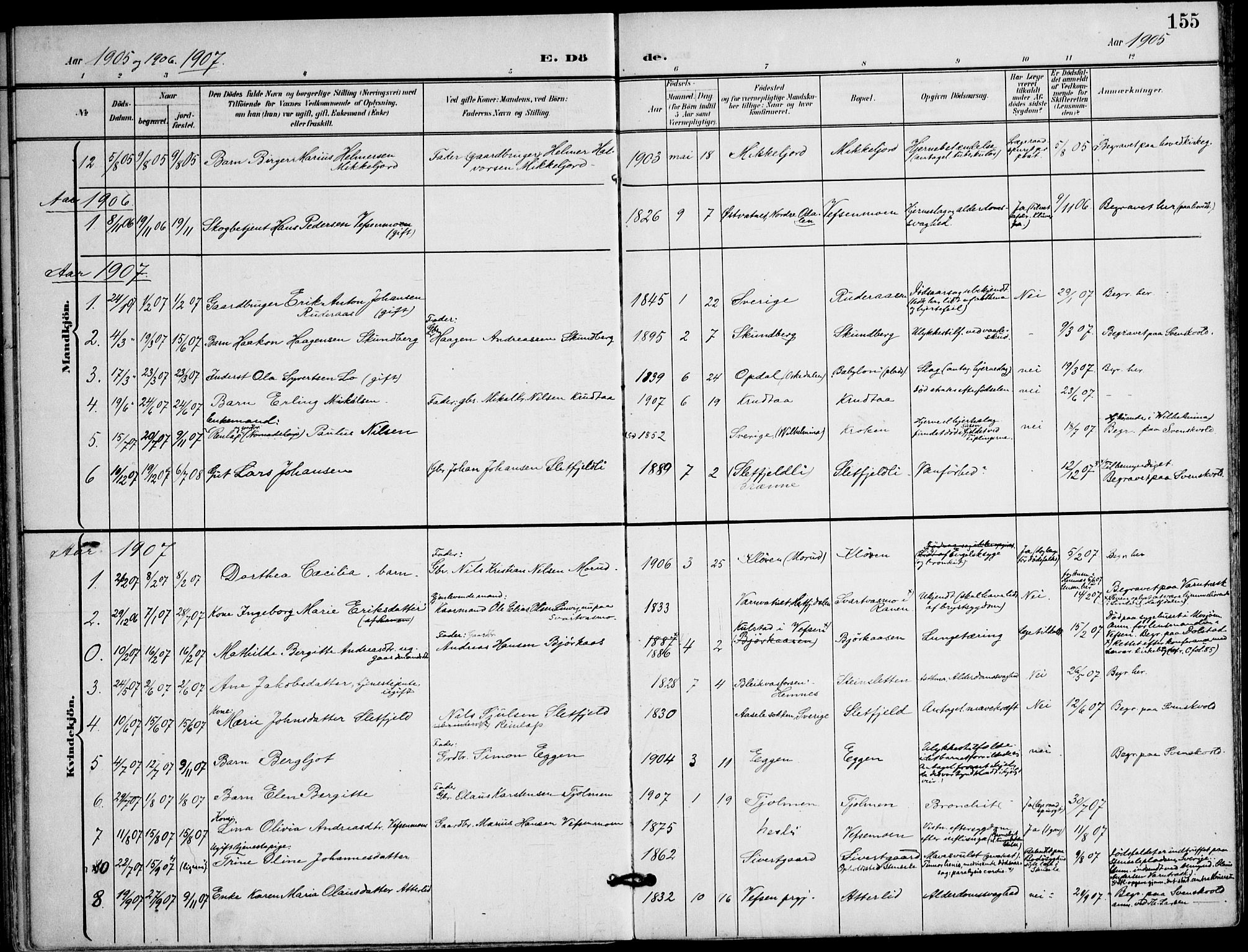 Ministerialprotokoller, klokkerbøker og fødselsregistre - Nordland, AV/SAT-A-1459/823/L0326: Parish register (official) no. 823A03, 1899-1919, p. 155