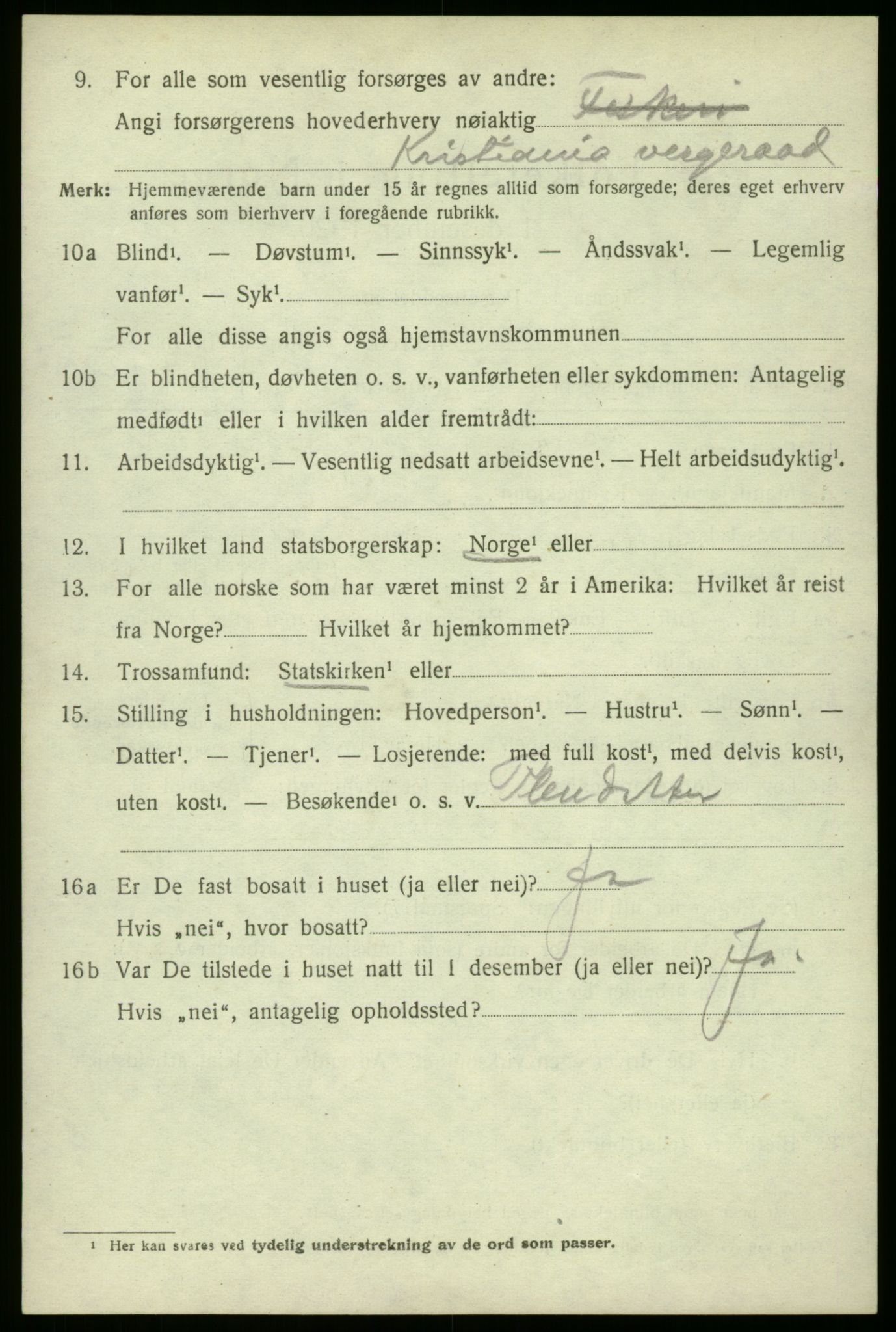 SAO, 1920 census for Hvaler, 1920, p. 4021