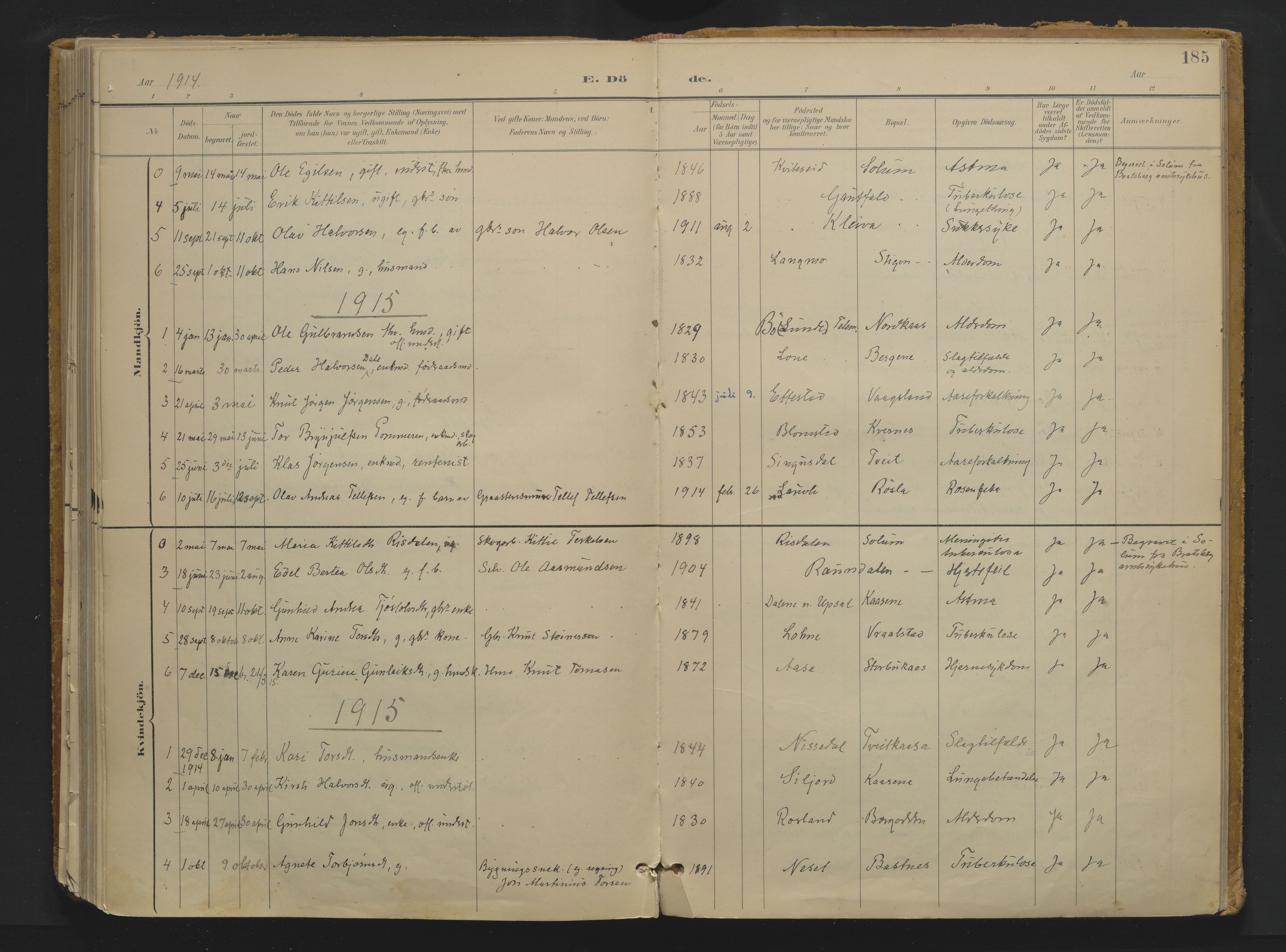 Drangedal kirkebøker, SAKO/A-258/F/Fa/L0013: Parish register (official) no. 13, 1895-1919, p. 185