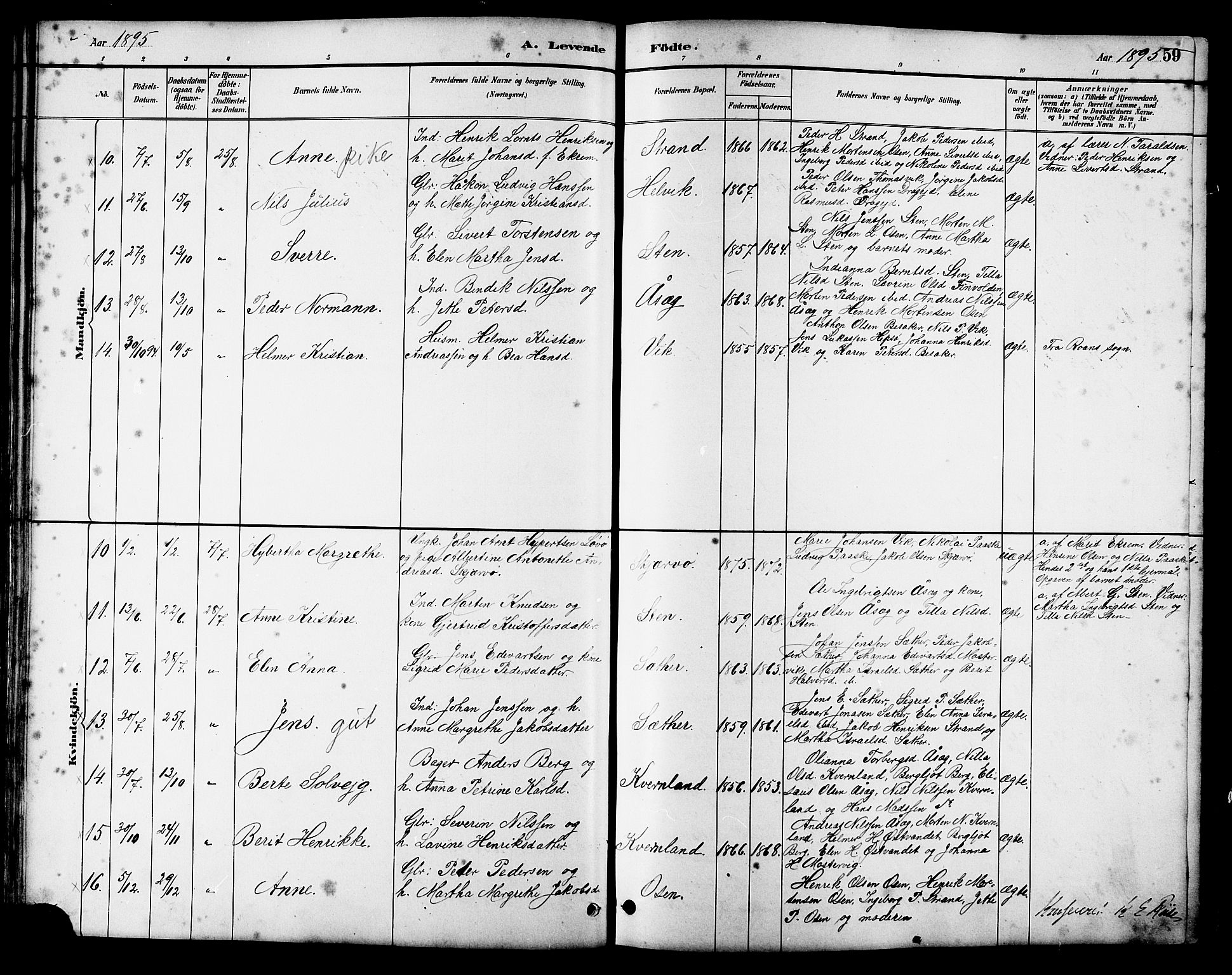Ministerialprotokoller, klokkerbøker og fødselsregistre - Sør-Trøndelag, SAT/A-1456/658/L0726: Parish register (copy) no. 658C02, 1883-1908, p. 59