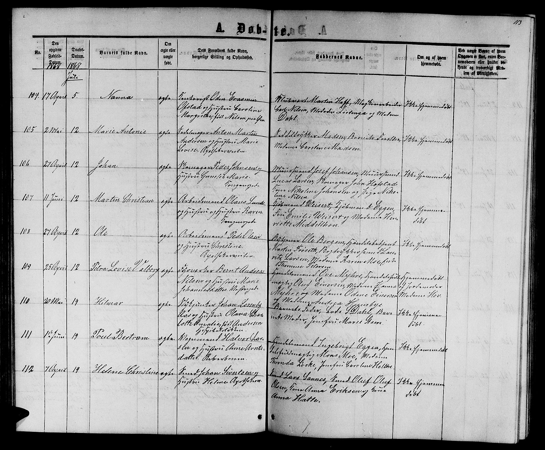 Ministerialprotokoller, klokkerbøker og fødselsregistre - Sør-Trøndelag, AV/SAT-A-1456/601/L0087: Parish register (copy) no. 601C05, 1864-1881, p. 113