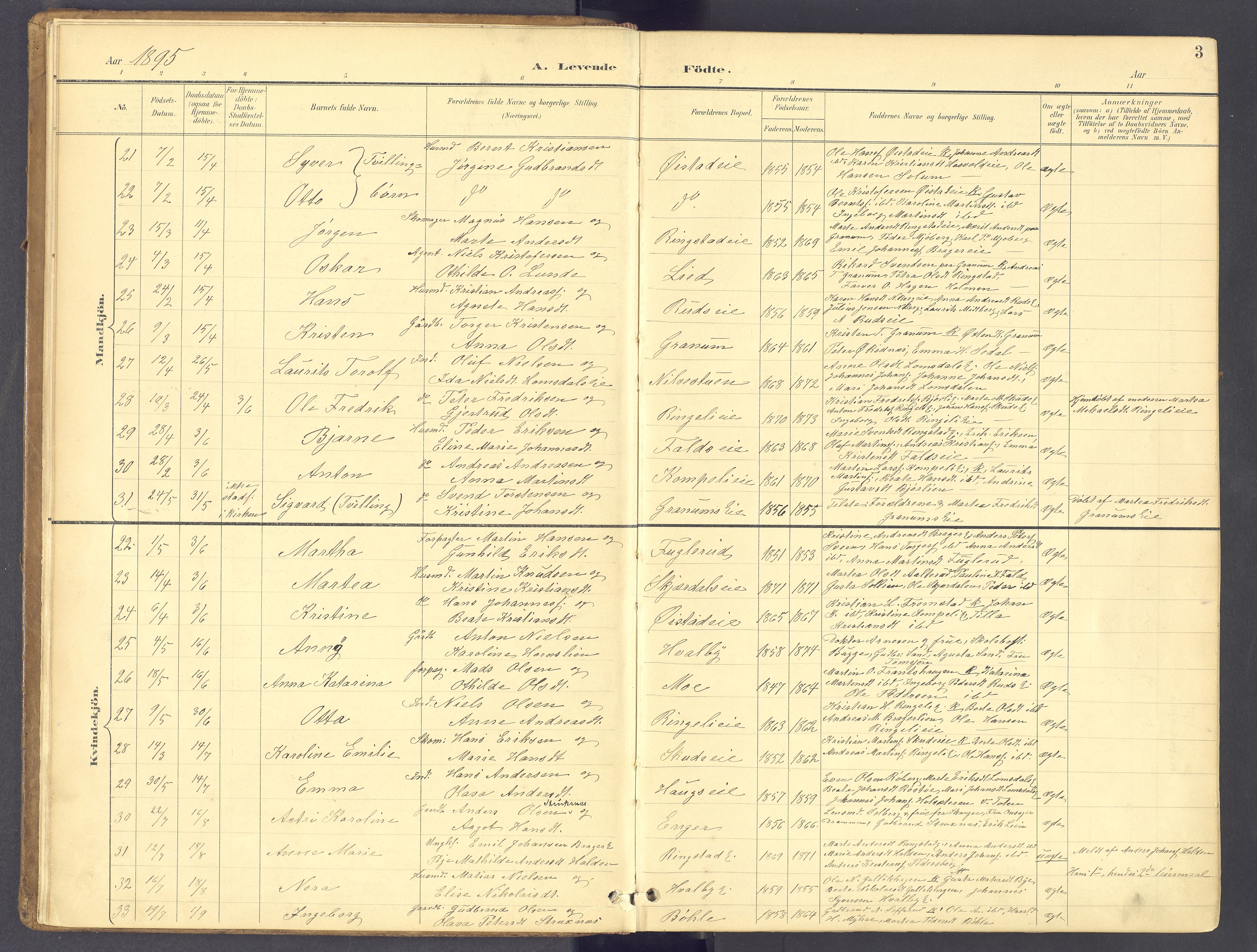 Søndre Land prestekontor, SAH/PREST-122/K/L0006: Parish register (official) no. 6, 1895-1904, p. 3