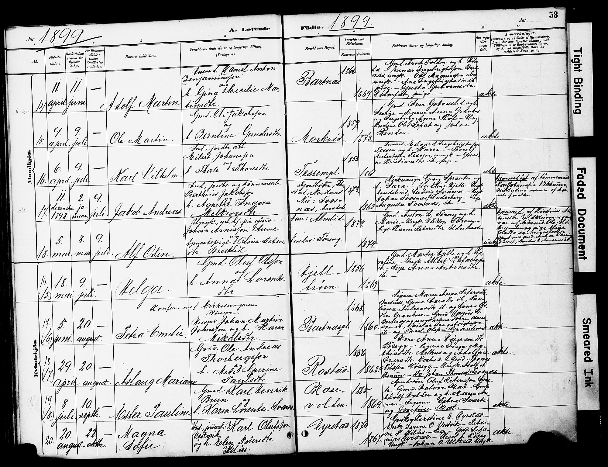 Ministerialprotokoller, klokkerbøker og fødselsregistre - Nord-Trøndelag, AV/SAT-A-1458/741/L0396: Parish register (official) no. 741A10, 1889-1901, p. 53