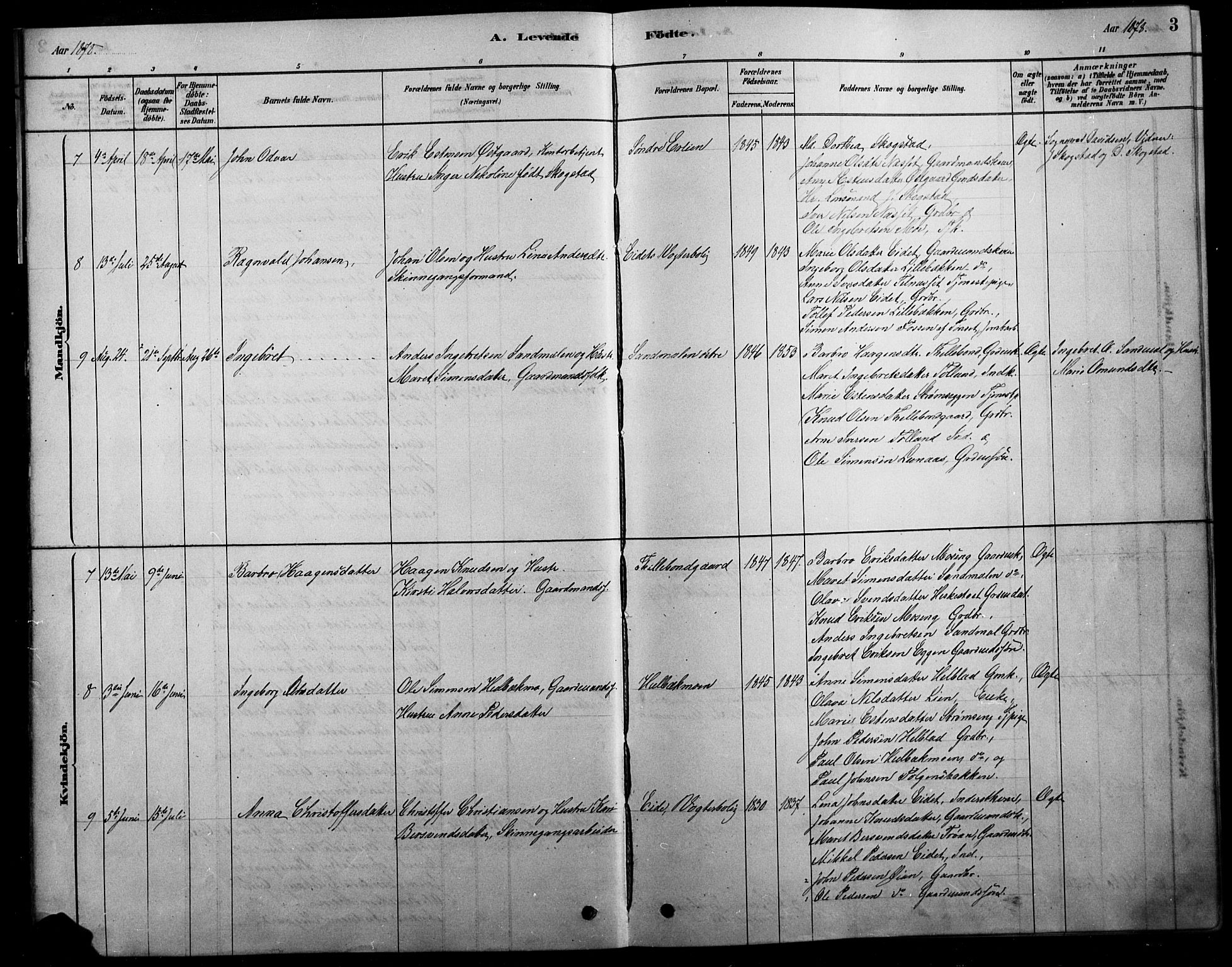 Tolga prestekontor, AV/SAH-PREST-062/L/L0007: Parish register (copy) no. 7, 1878-1919, p. 3