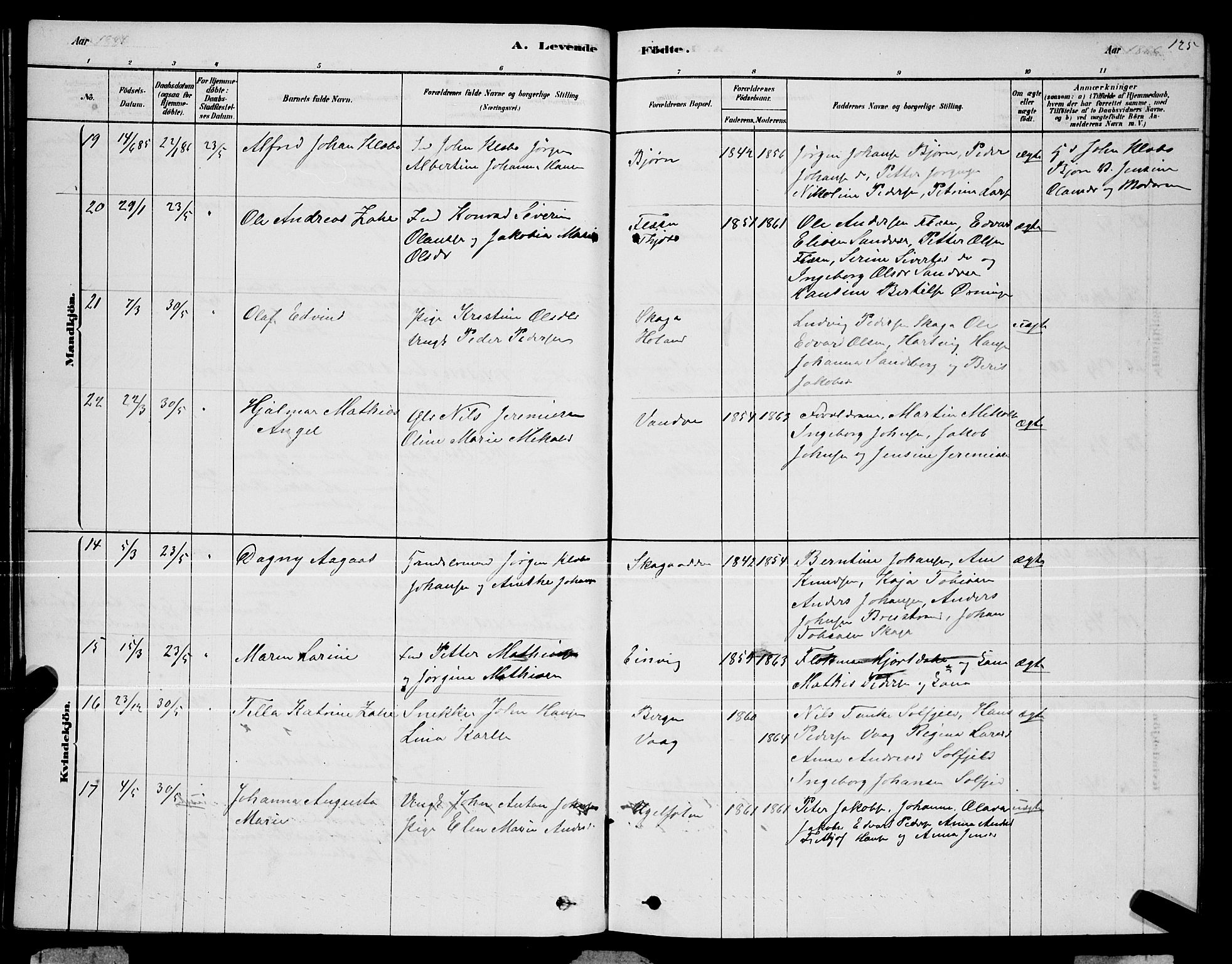 Ministerialprotokoller, klokkerbøker og fødselsregistre - Nordland, AV/SAT-A-1459/834/L0513: Parish register (copy) no. 834C04, 1877-1892, p. 125