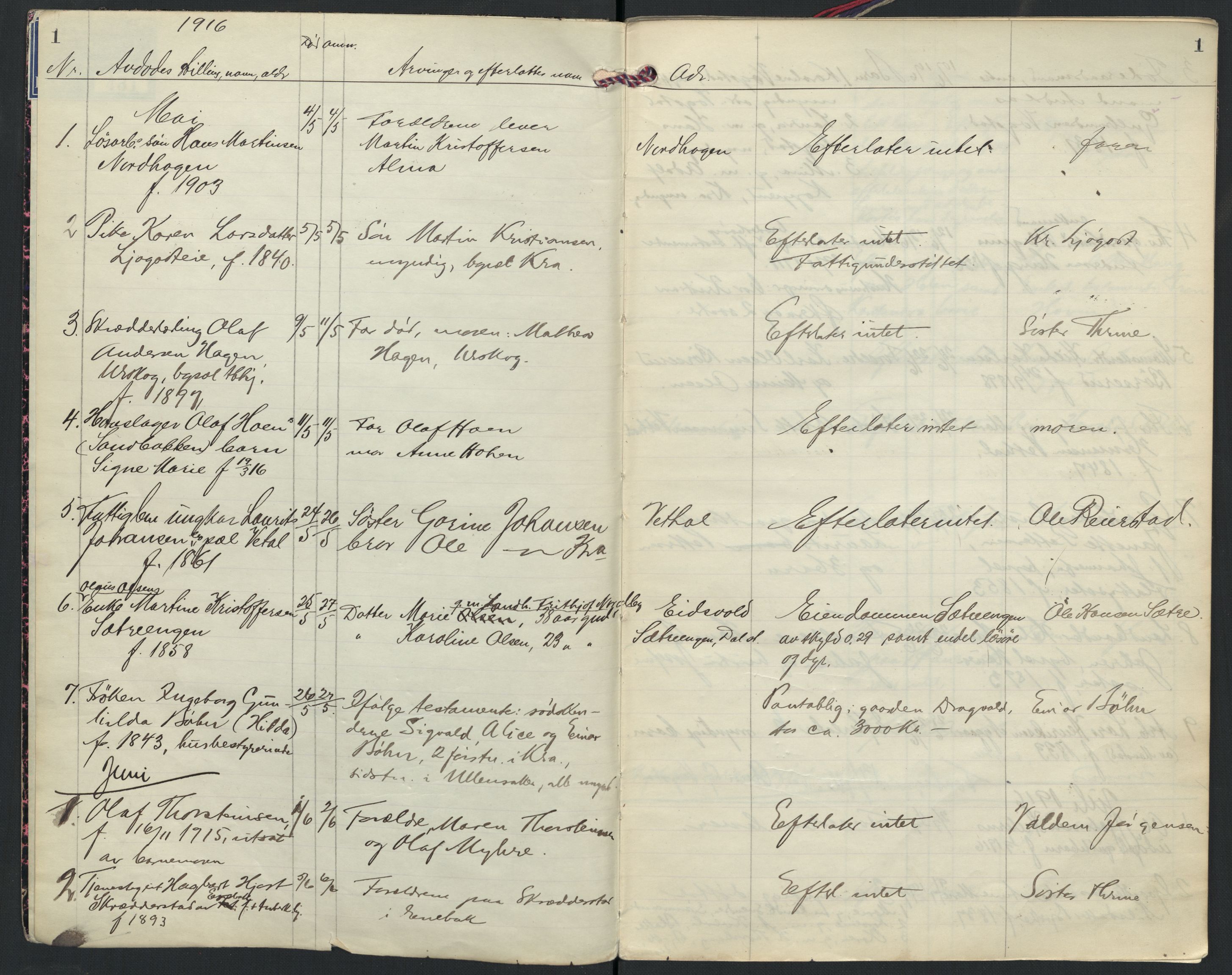 Ullensaker lensmannskontor, AV/SAO-A-10217/H/Ha/L0002: Dødsfallsprotokoll, 1916-1920, p. 1