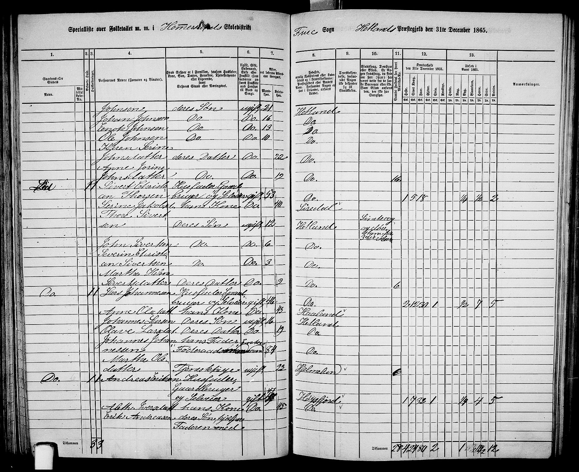 RA, 1865 census for Hetland, 1865, p. 87