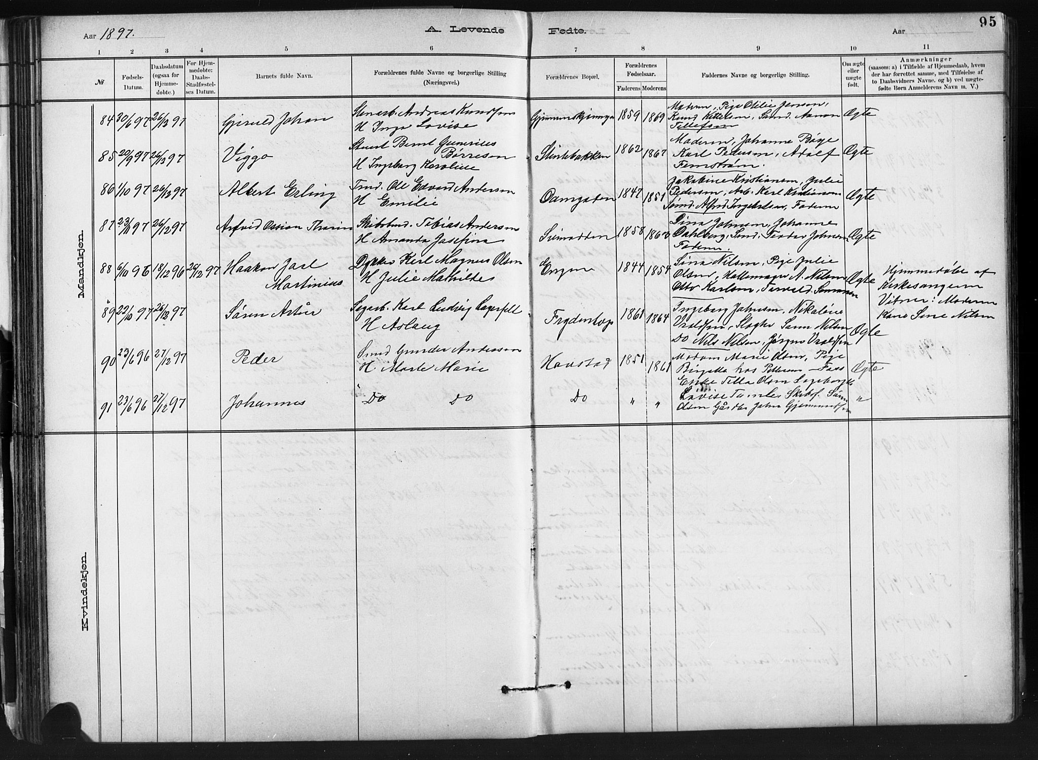 Barbu sokneprestkontor, AV/SAK-1111-0003/F/Fb/L0002: Parish register (copy) no. B 2, 1890-1922, p. 95