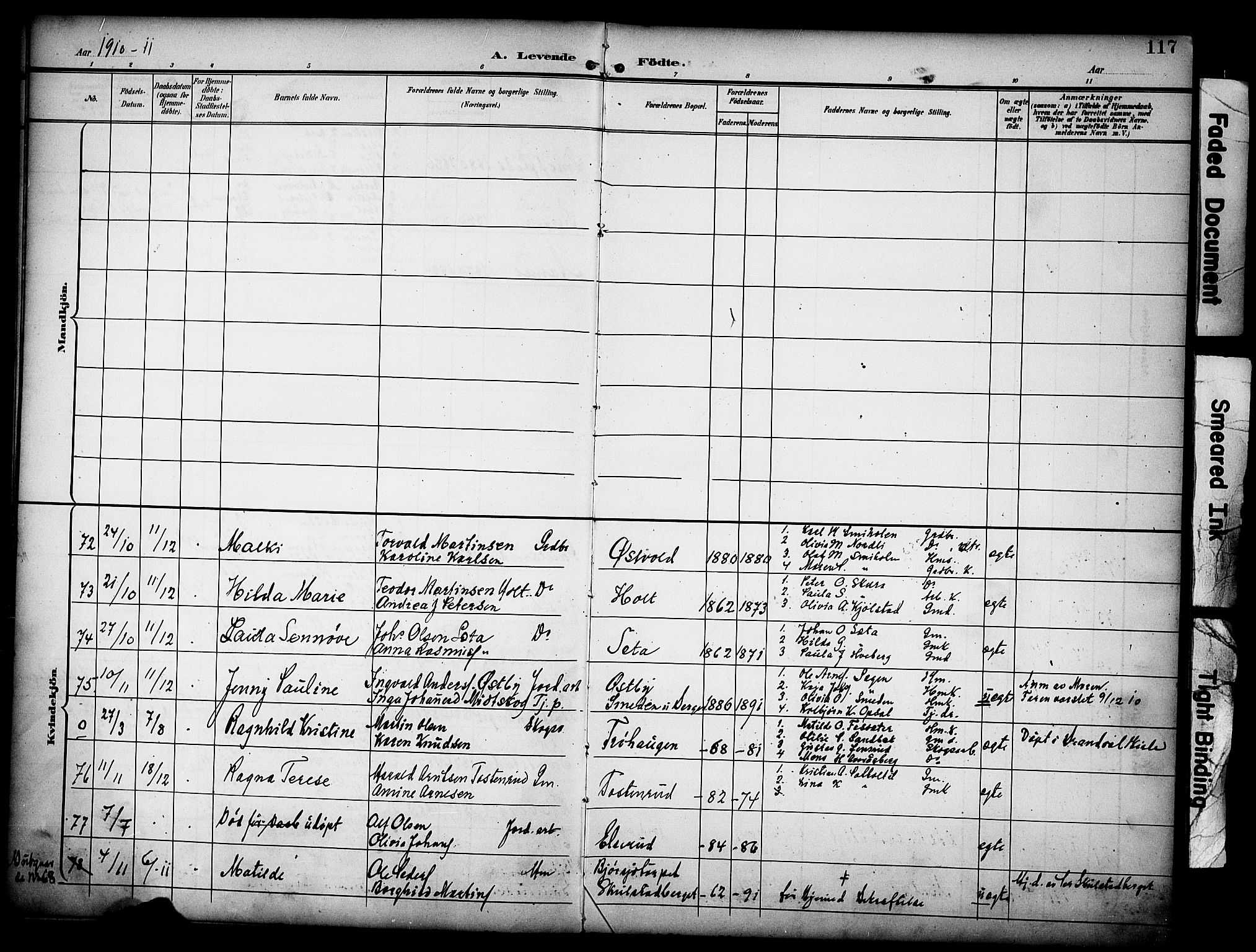 Grue prestekontor, AV/SAH-PREST-036/H/Ha/Haa/L0013: Parish register (official) no. 13, 1898-1910, p. 117