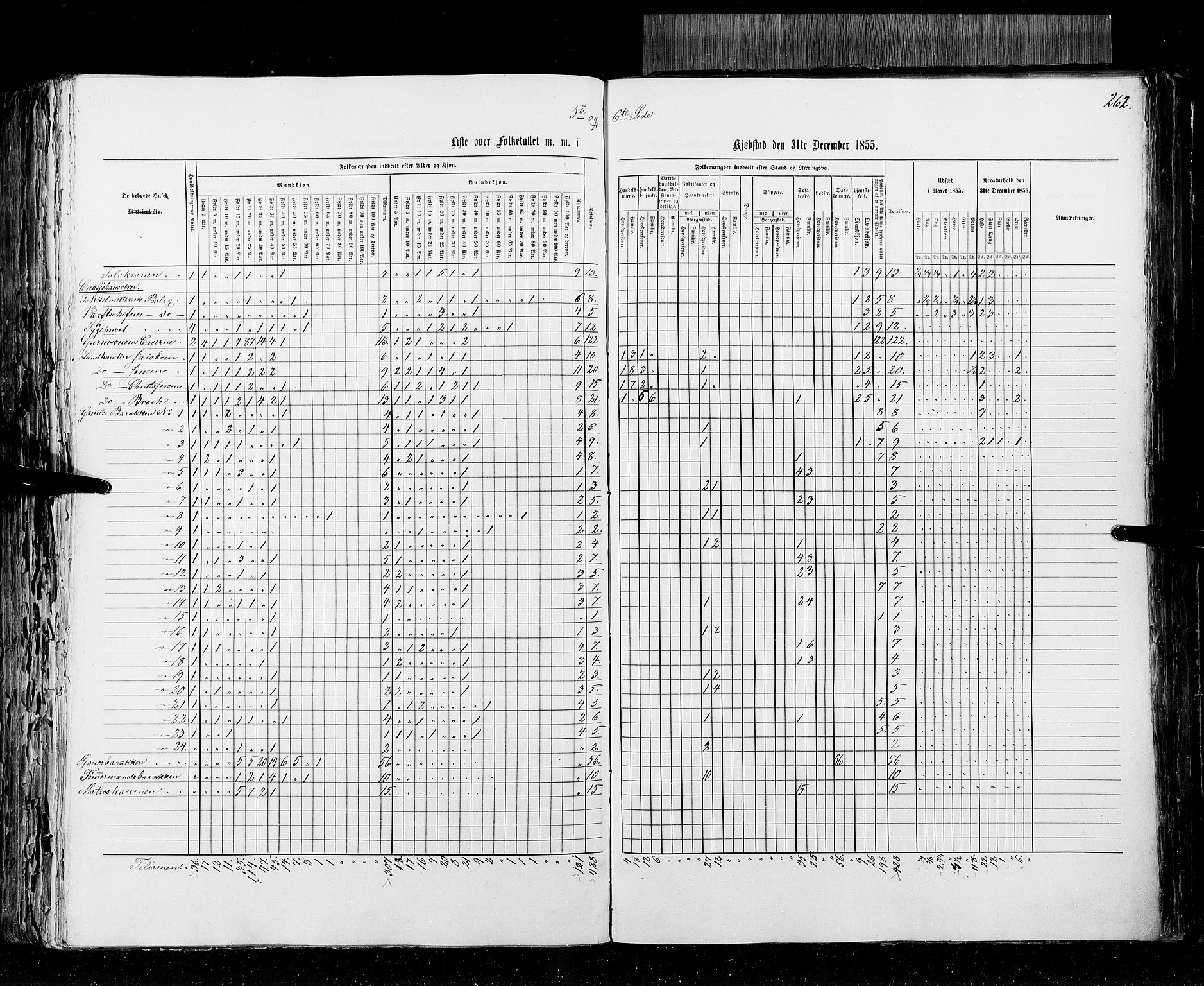 RA, Census 1855, vol. 2: Kristians amt, Buskerud amt og Jarlsberg og Larvik amt, 1855, p. 262