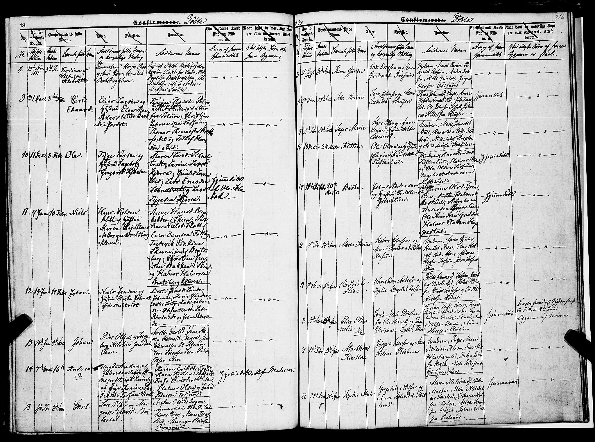 Gjerpen kirkebøker, AV/SAKO-A-265/F/Fa/L0007a: Parish register (official) no. I 7A, 1834-1857, p. 216