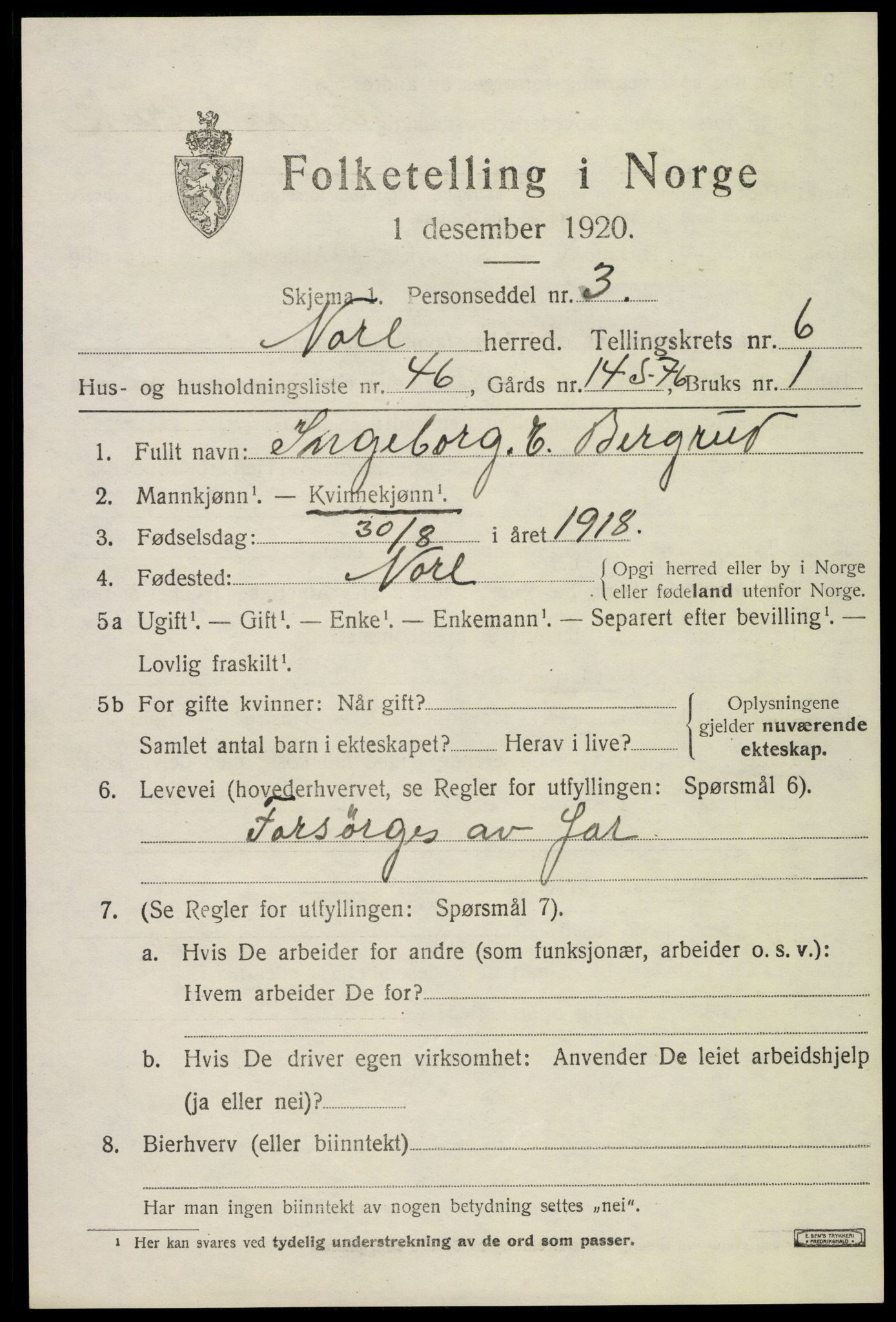 SAKO, 1920 census for Nore, 1920, p. 3022