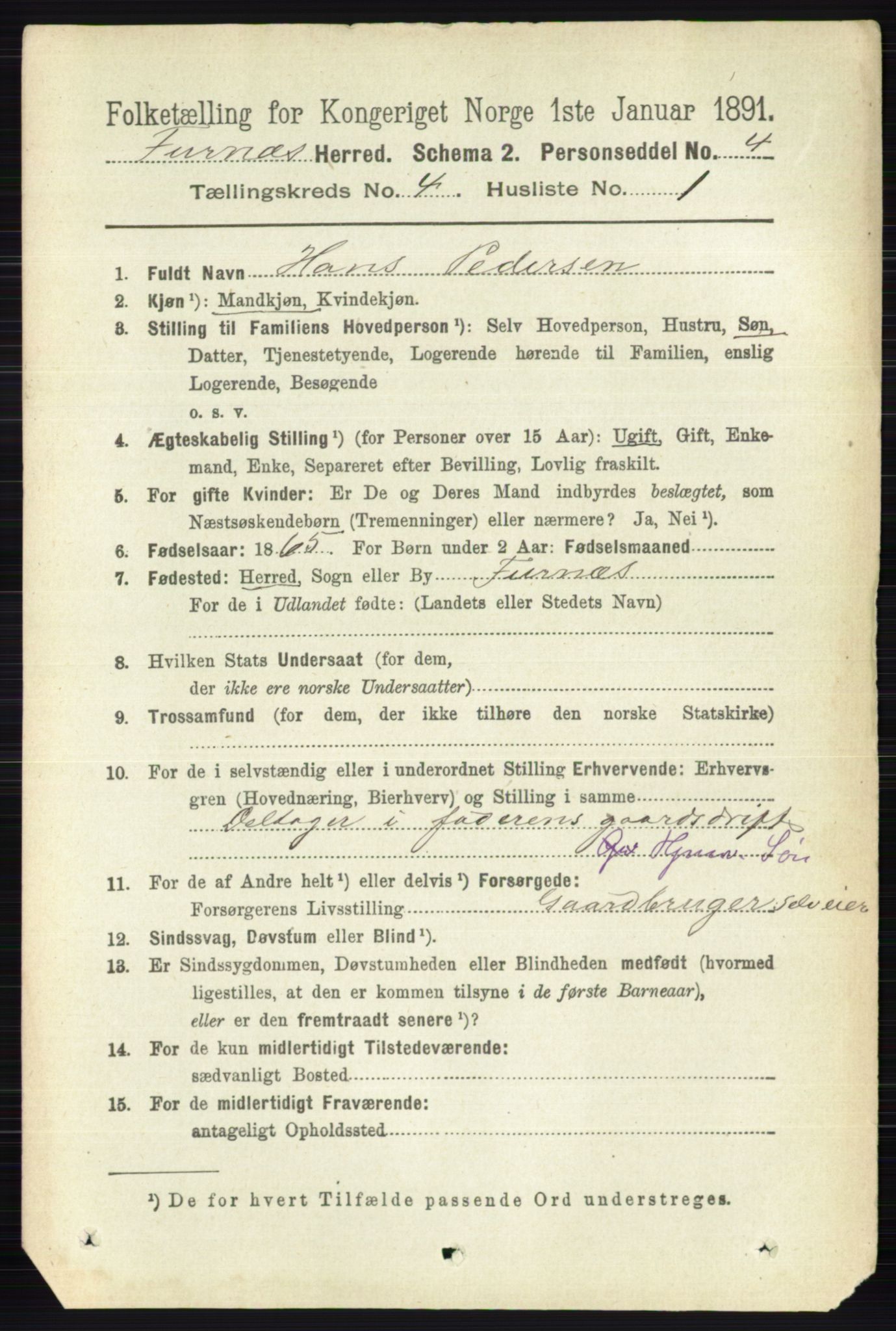 RA, Census 1891 for 0413 Furnes herred, 1891, p. 2463