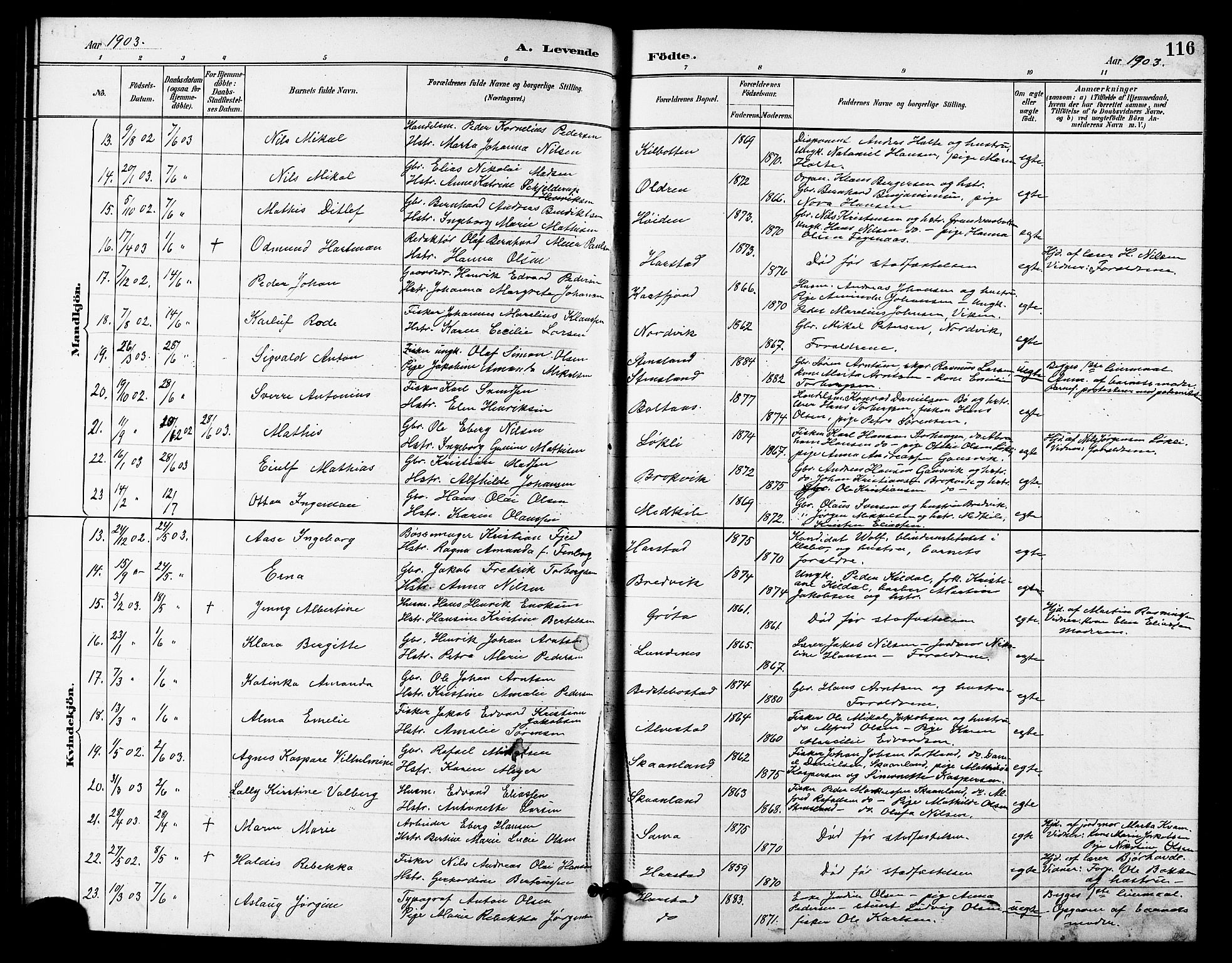 Trondenes sokneprestkontor, SATØ/S-1319/H/Hb/L0011klokker: Parish register (copy) no. 11, 1891-1906, p. 116