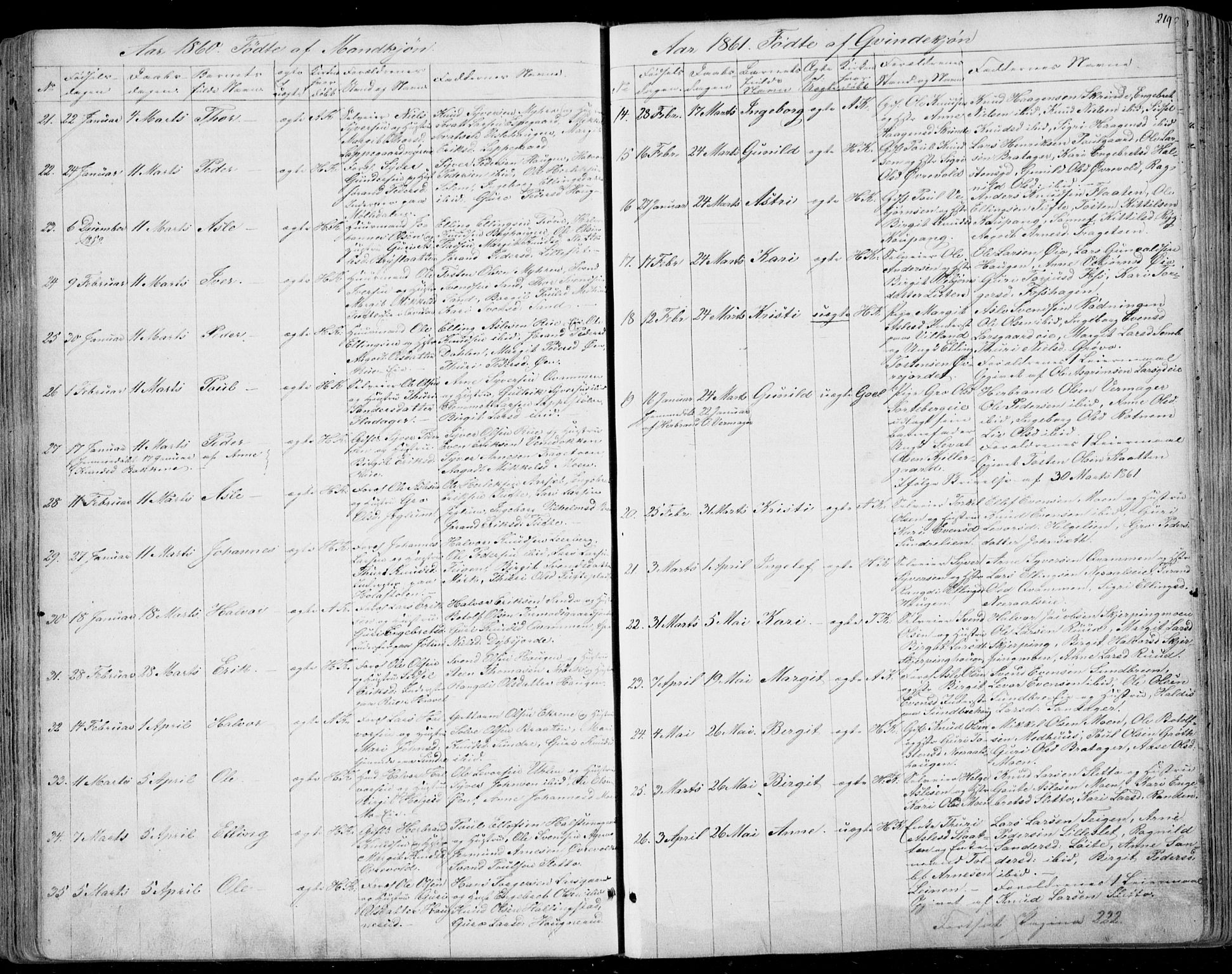 Ål kirkebøker, AV/SAKO-A-249/F/Fa/L0006: Parish register (official) no. I 6, 1849-1864, p. 219