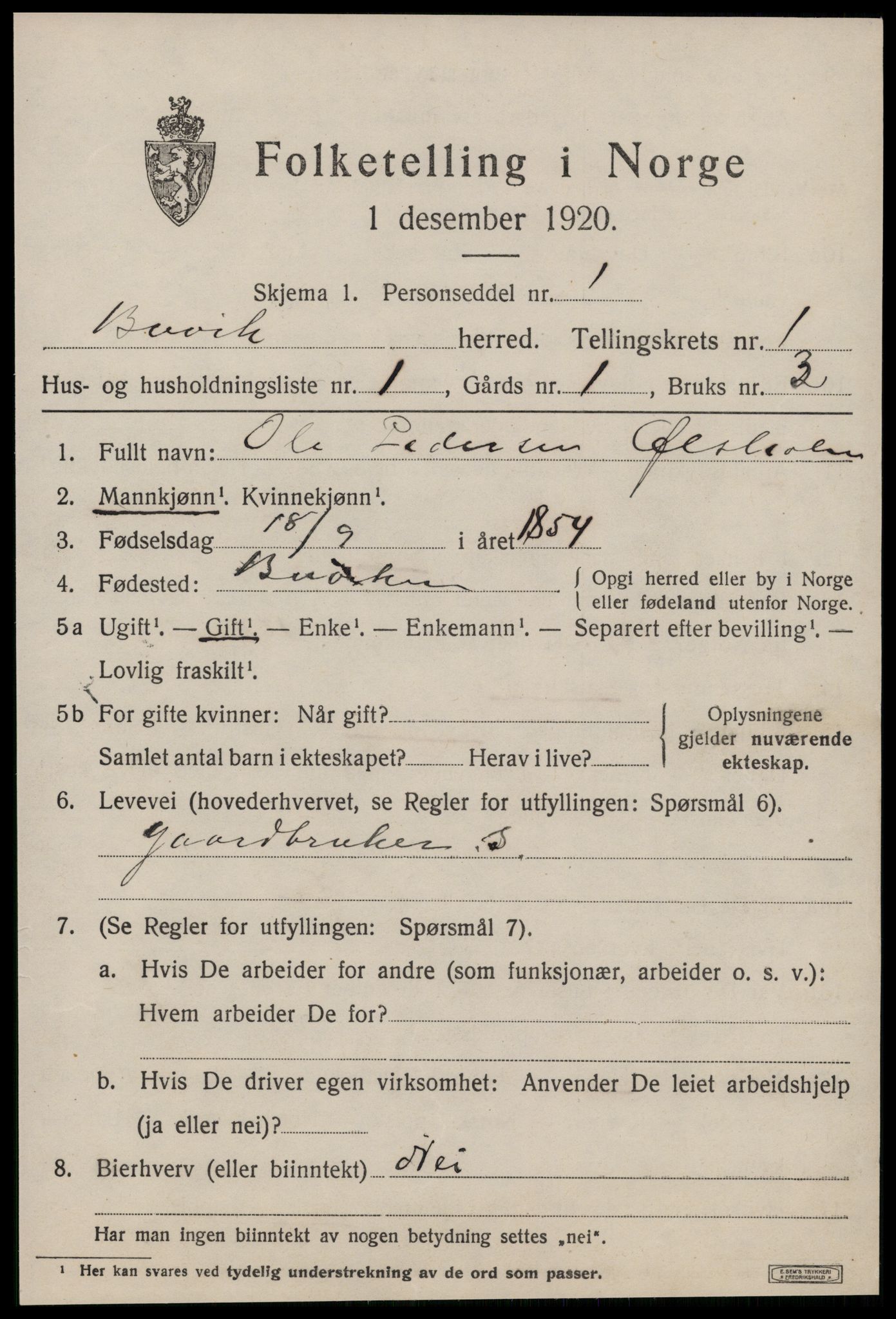 SAT, 1920 census for Buvik, 1920, p. 300