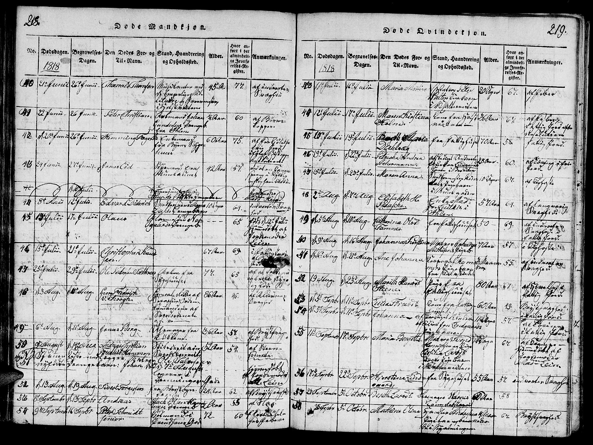 Ministerialprotokoller, klokkerbøker og fødselsregistre - Sør-Trøndelag, SAT/A-1456/601/L0043: Parish register (official) no. 601A11, 1815-1821, p. 218-219