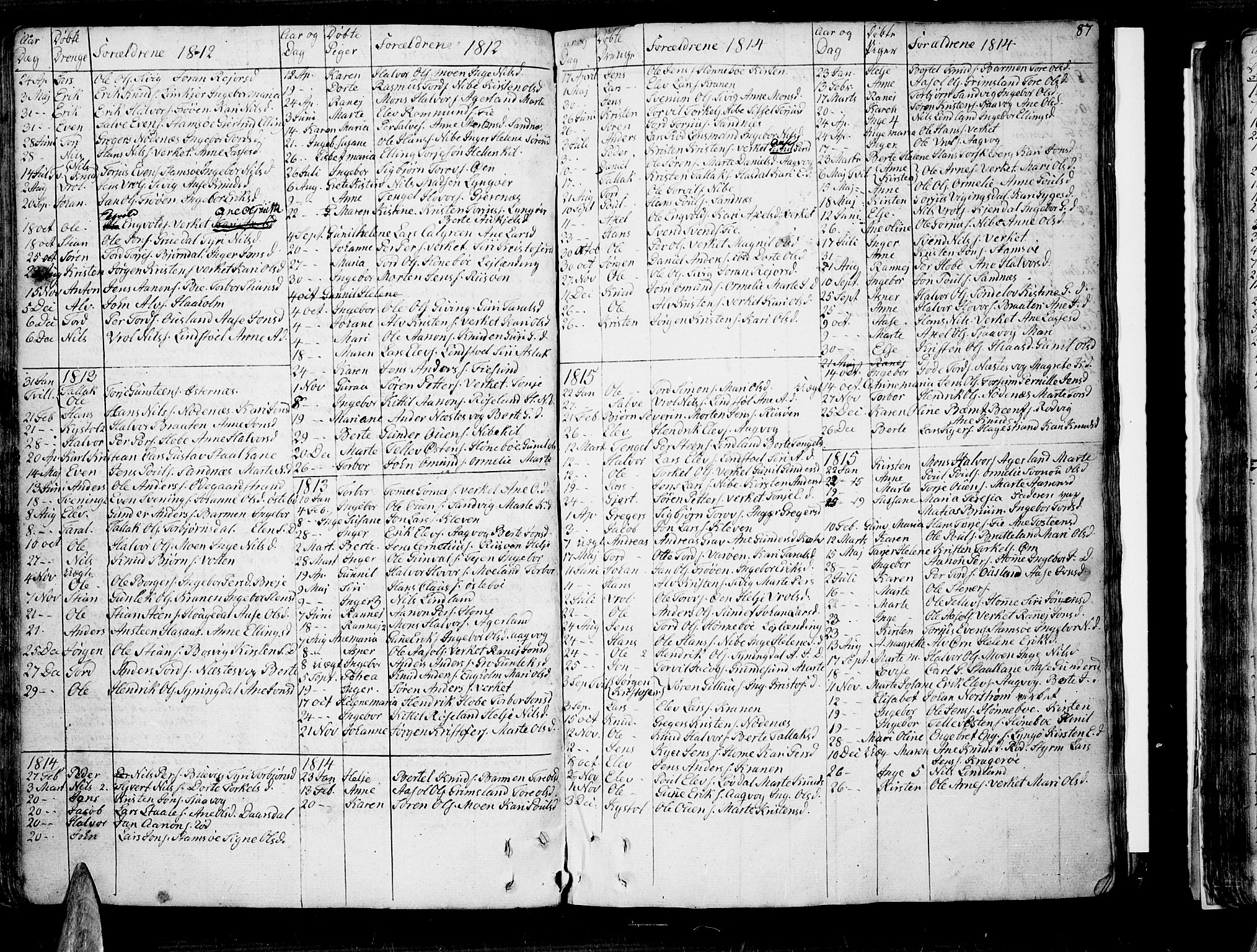 Søndeled sokneprestkontor, AV/SAK-1111-0038/F/Fb/L0001: Parish register (copy) no. B 1, 1746-1816, p. 87