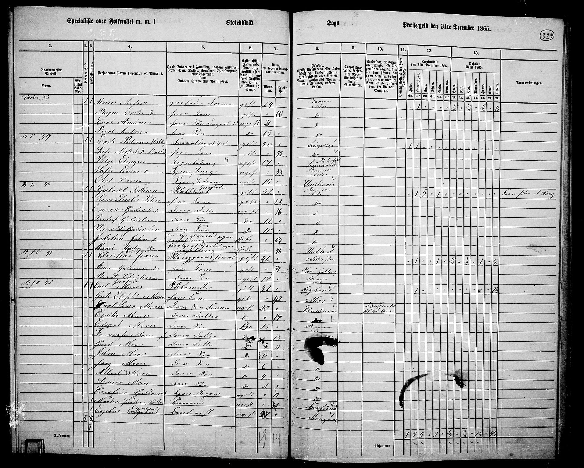 RA, 1865 census for Asker, 1865, p. 316